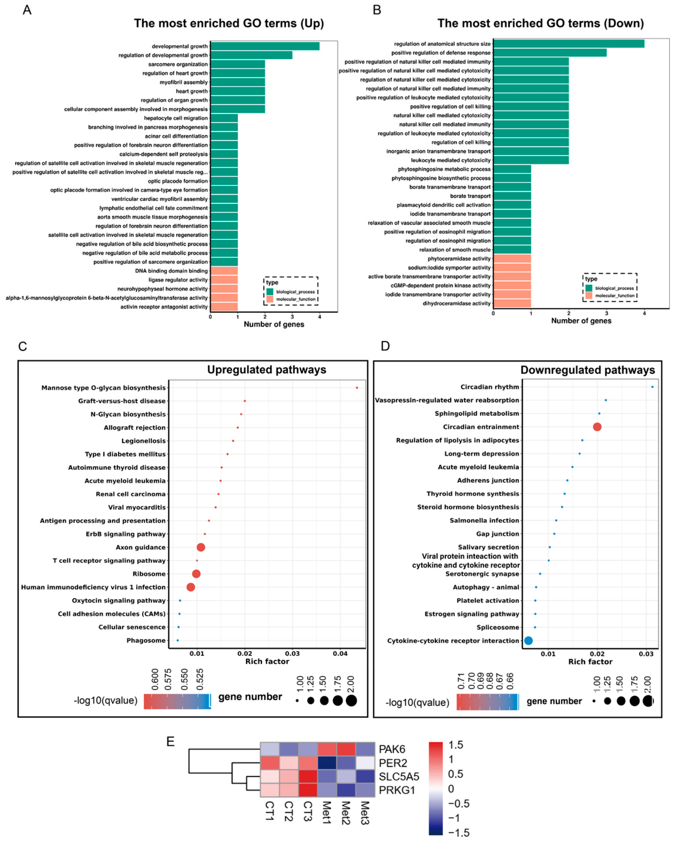 Animals 15 03450 g004