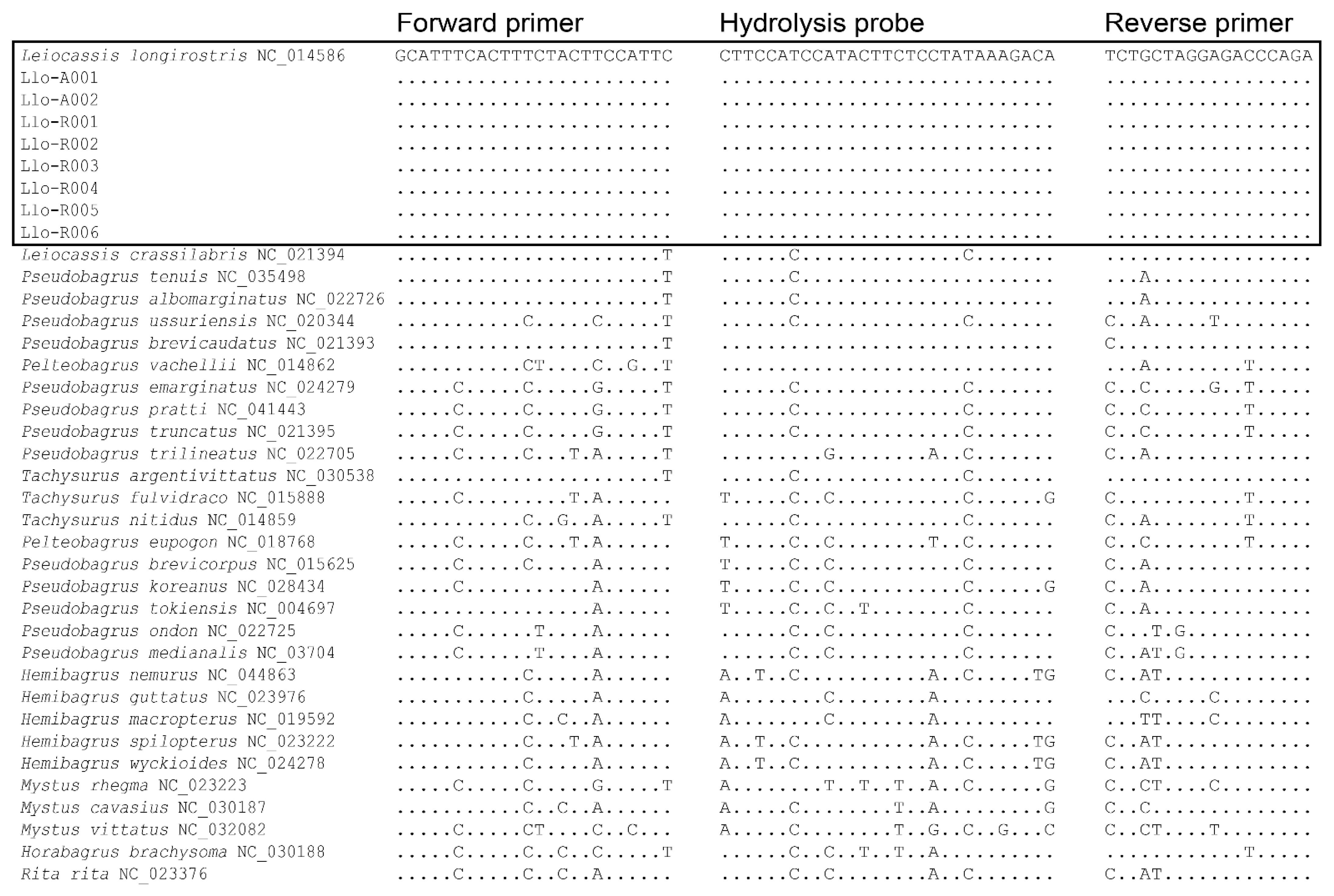 Animals 15 03451 g001 Animals 15 03451 g001