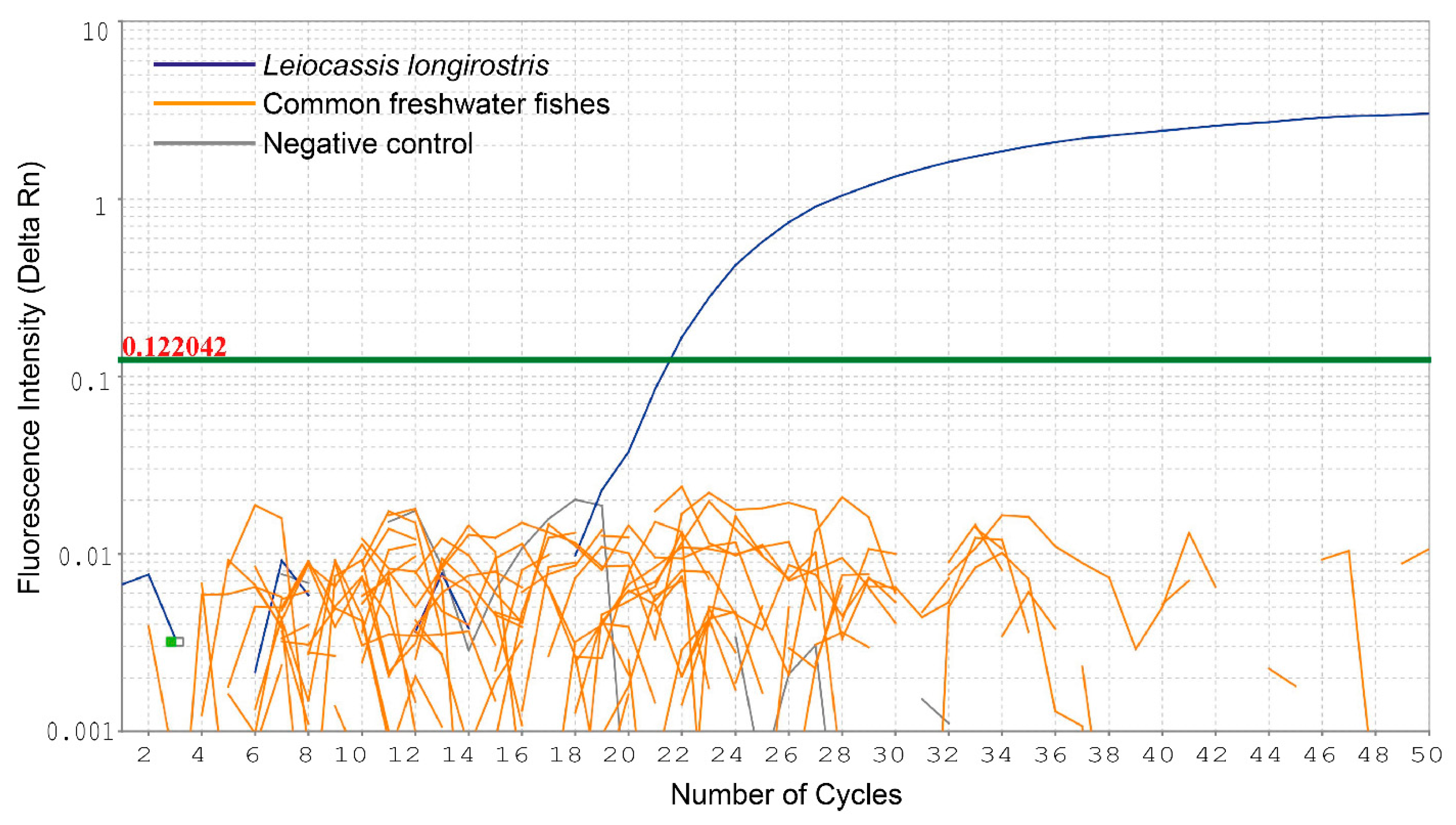 Animals 15 03451 g003 Animals 15 03451 g003