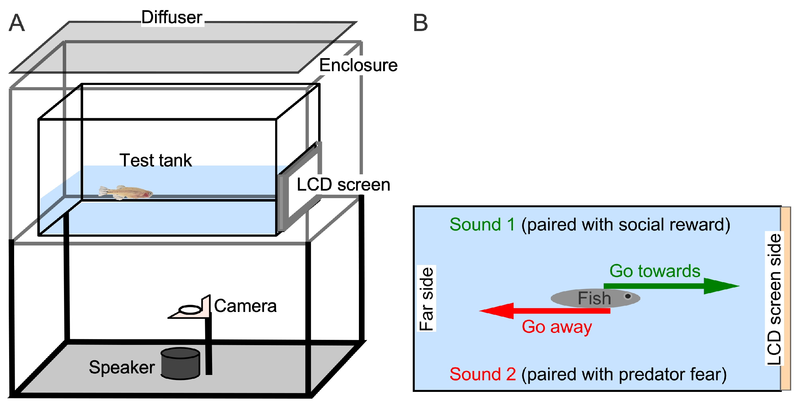 Animals 15 03452 g001 Animals 15 03452 g001