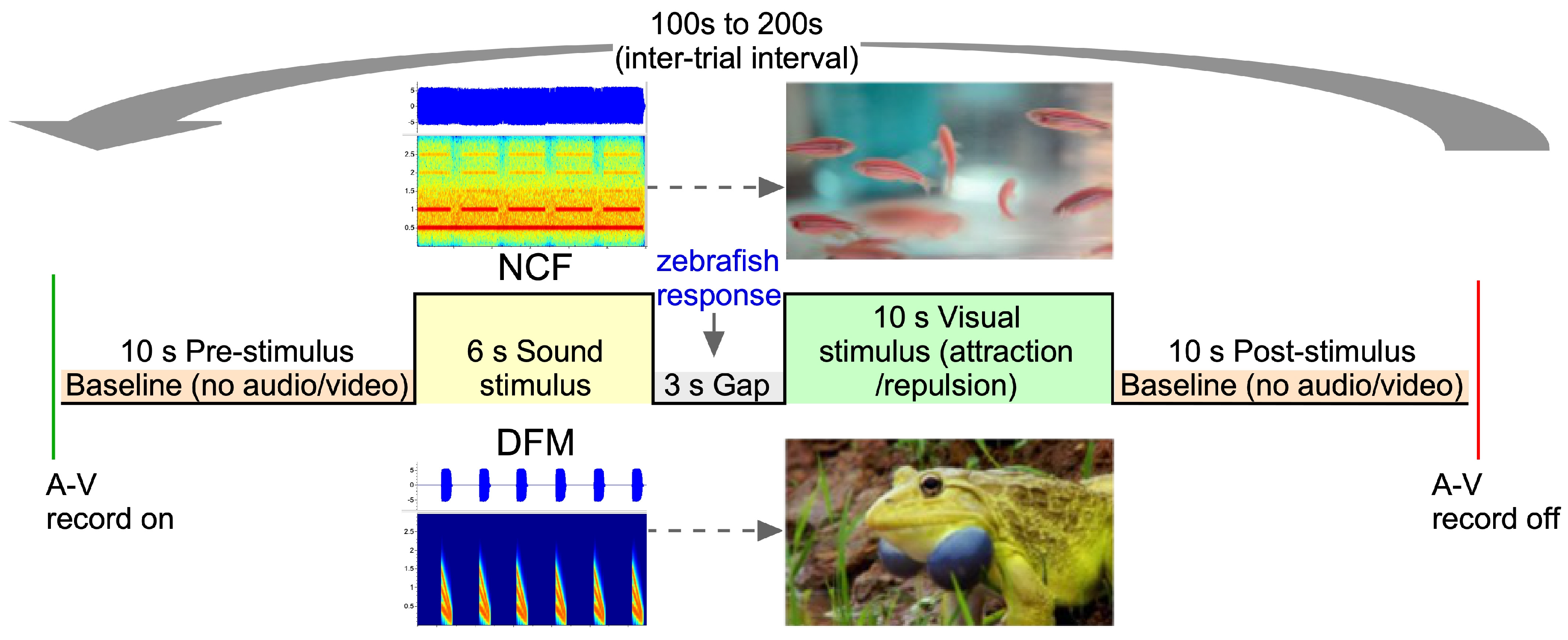 Animals 15 03452 g003 Animals 15 03452 g003