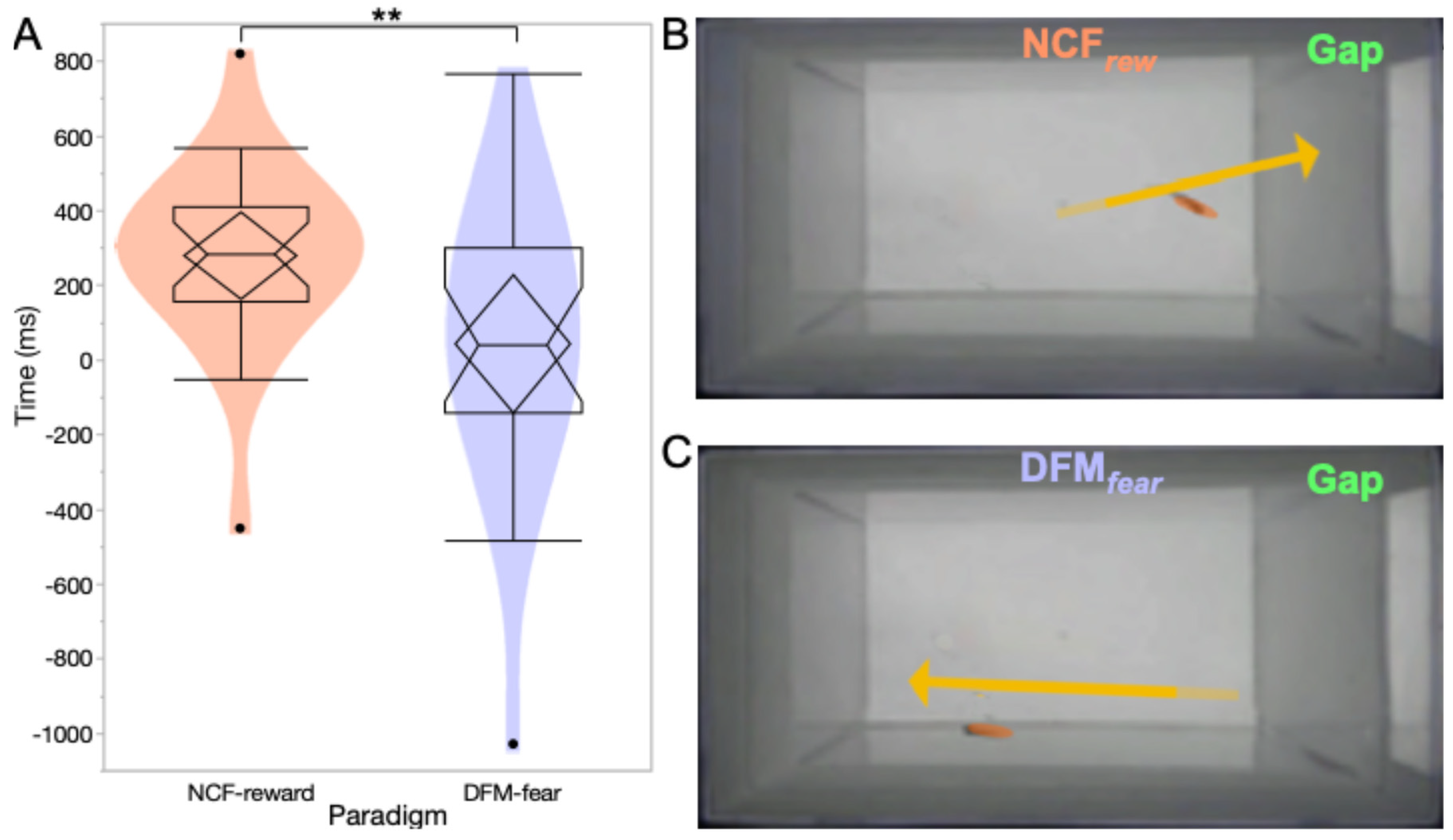 Animals 15 03452 g007 Animals 15 03452 g007