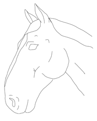 Animals 15 03454 i001