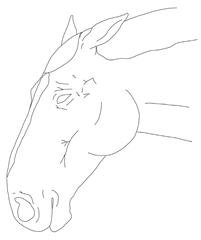 Animals 15 03454 i003