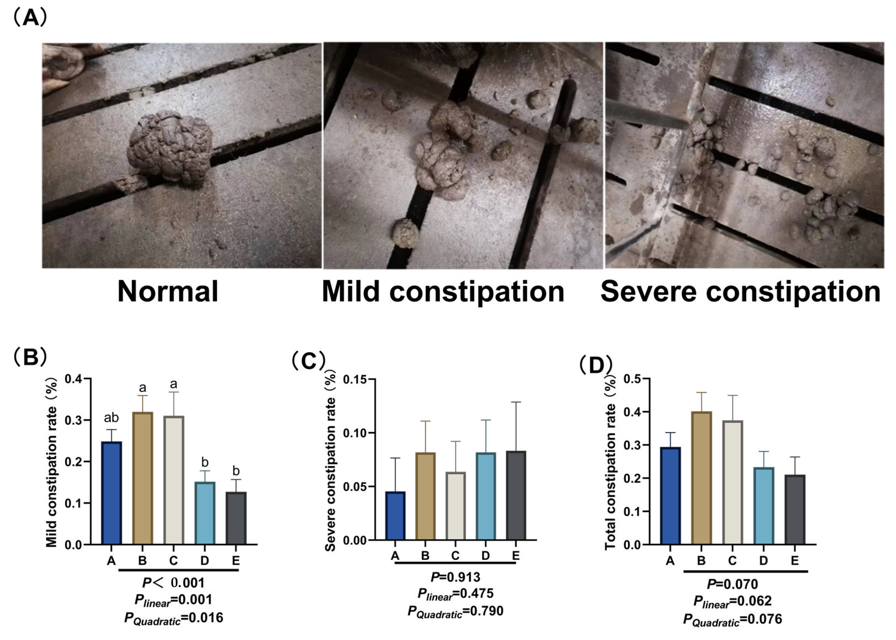 Animals 15 03455 g001