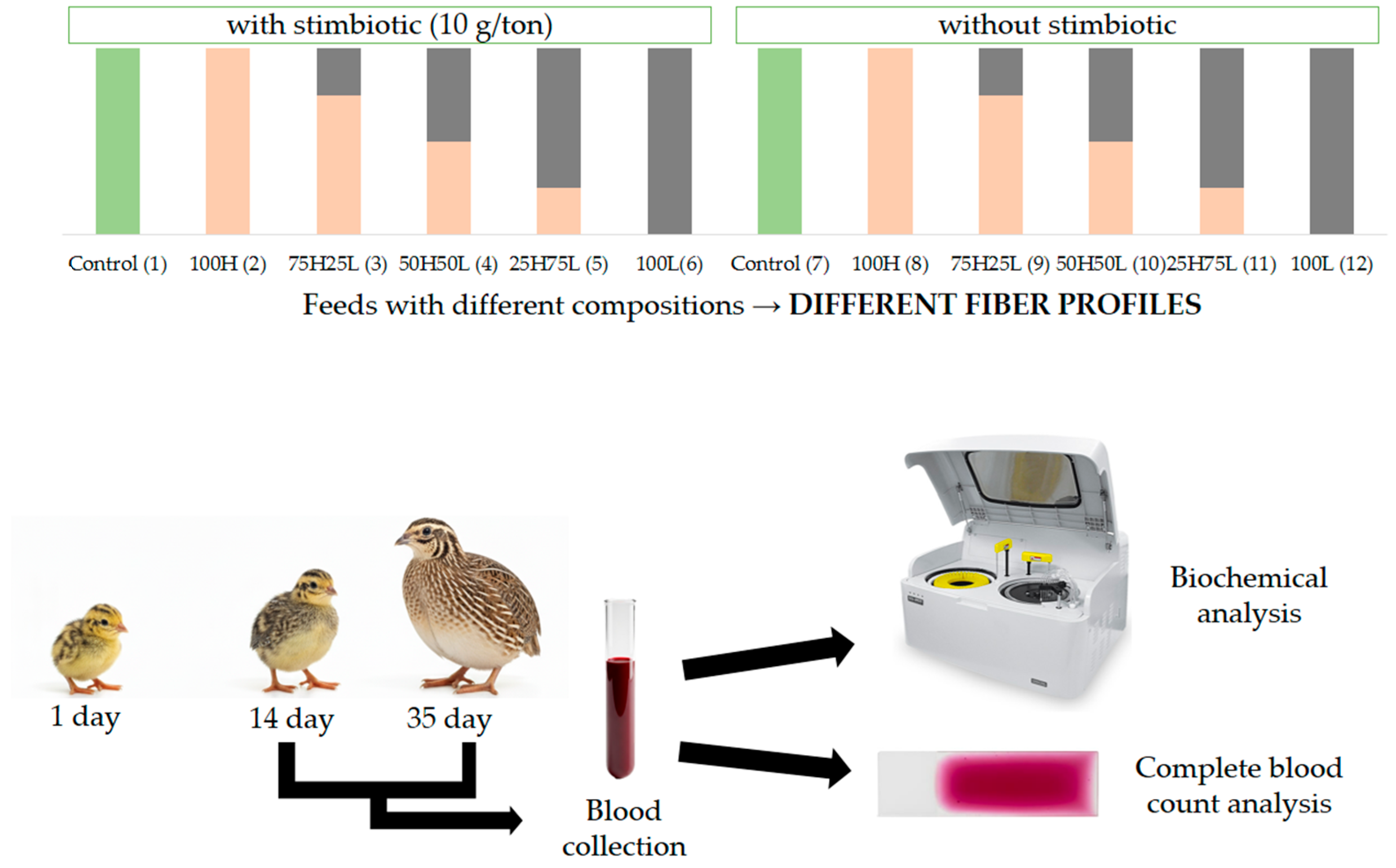 Animals 15 03457 g001