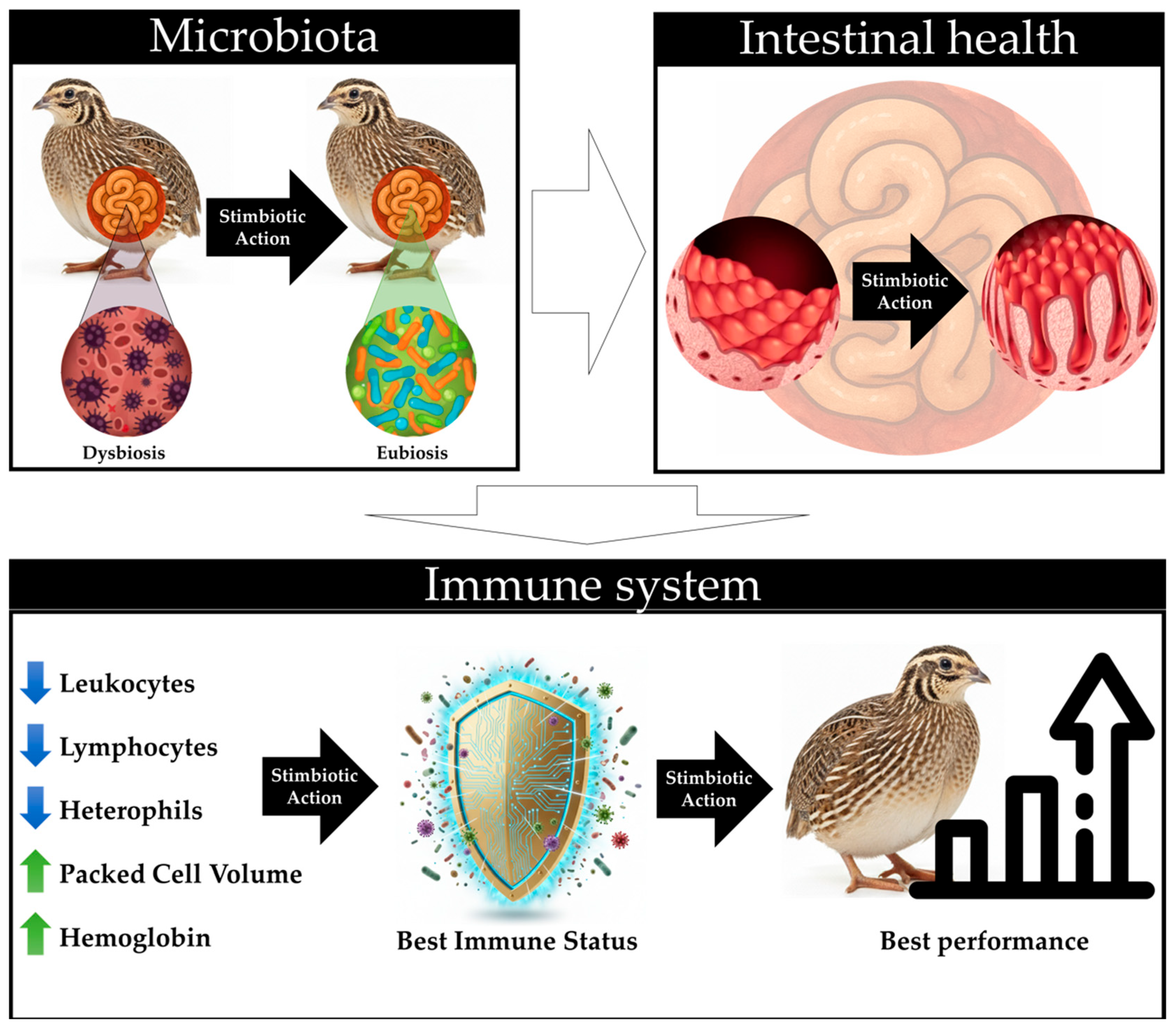 Animals 15 03457 g004