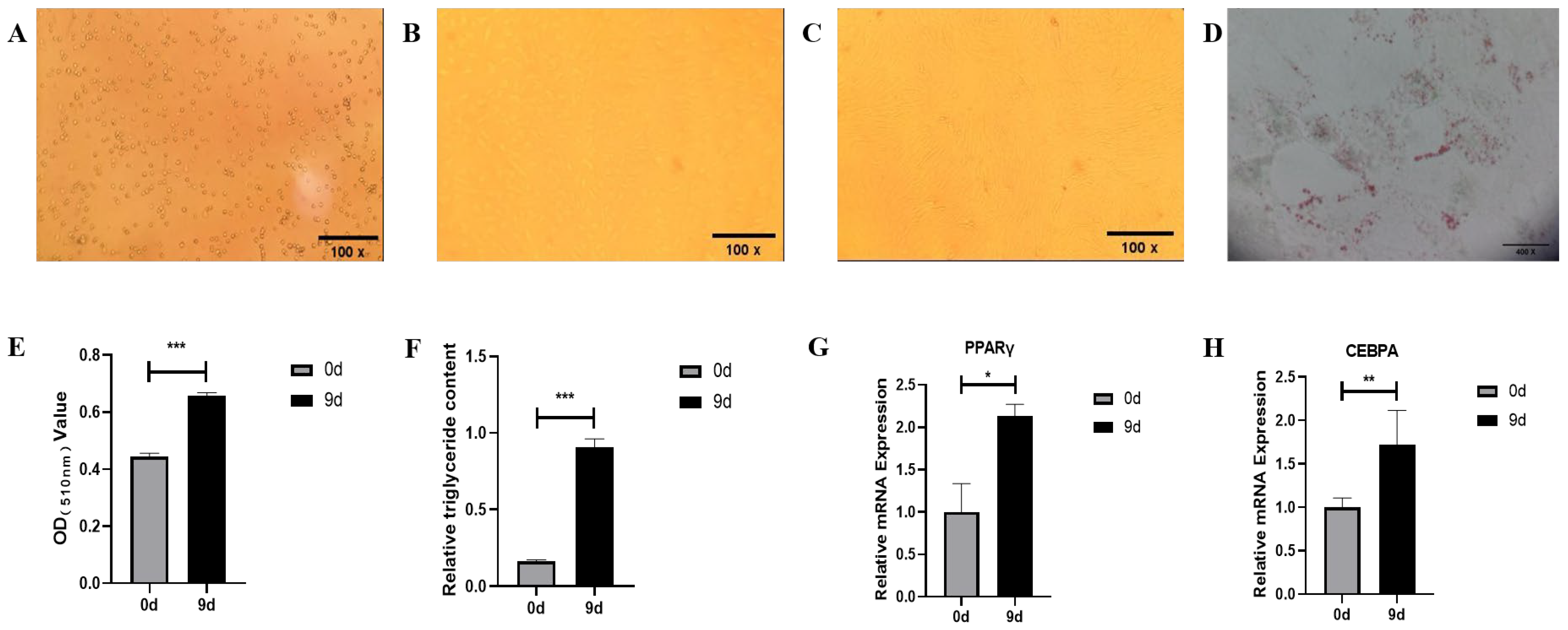 Animals 15 03459 g001