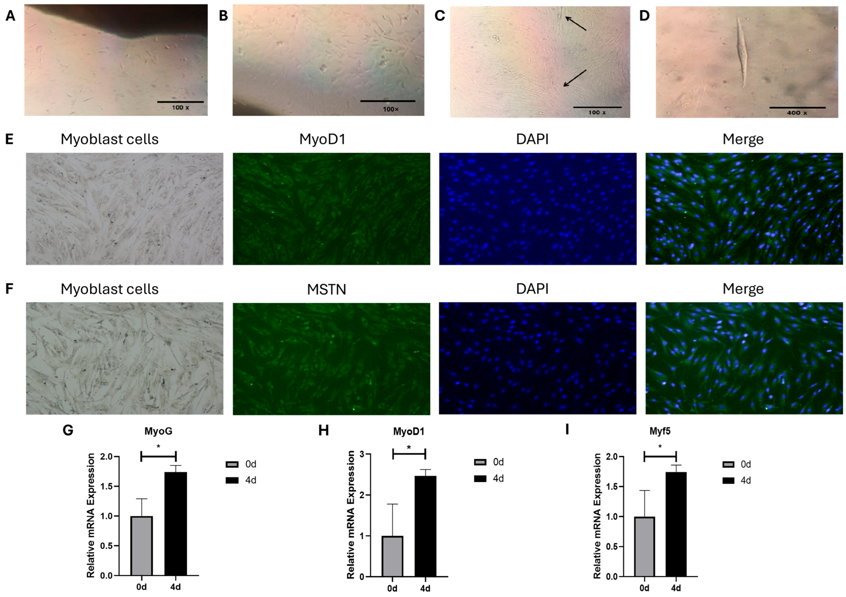 Animals 15 03459 g002