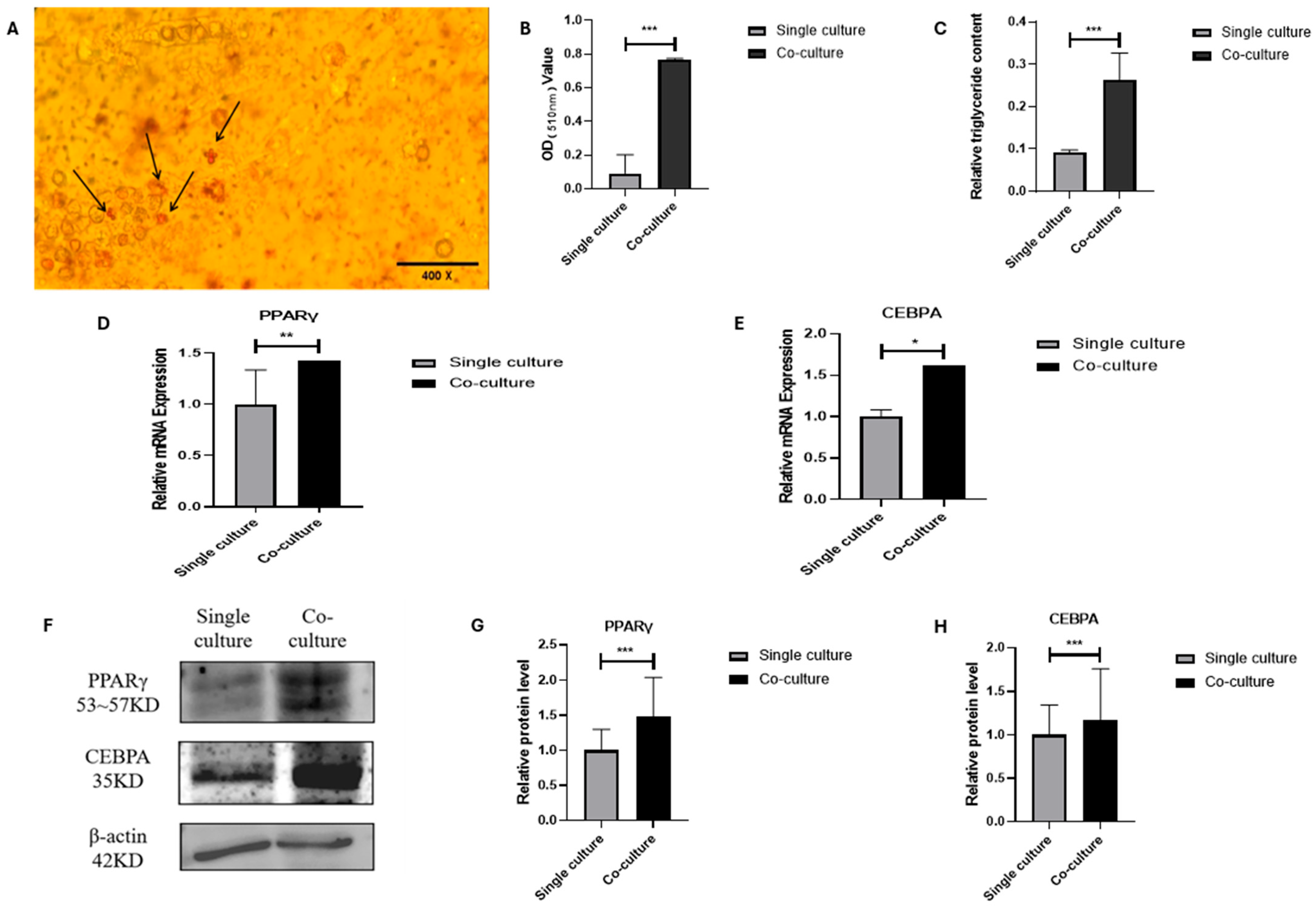 Animals 15 03459 g003
