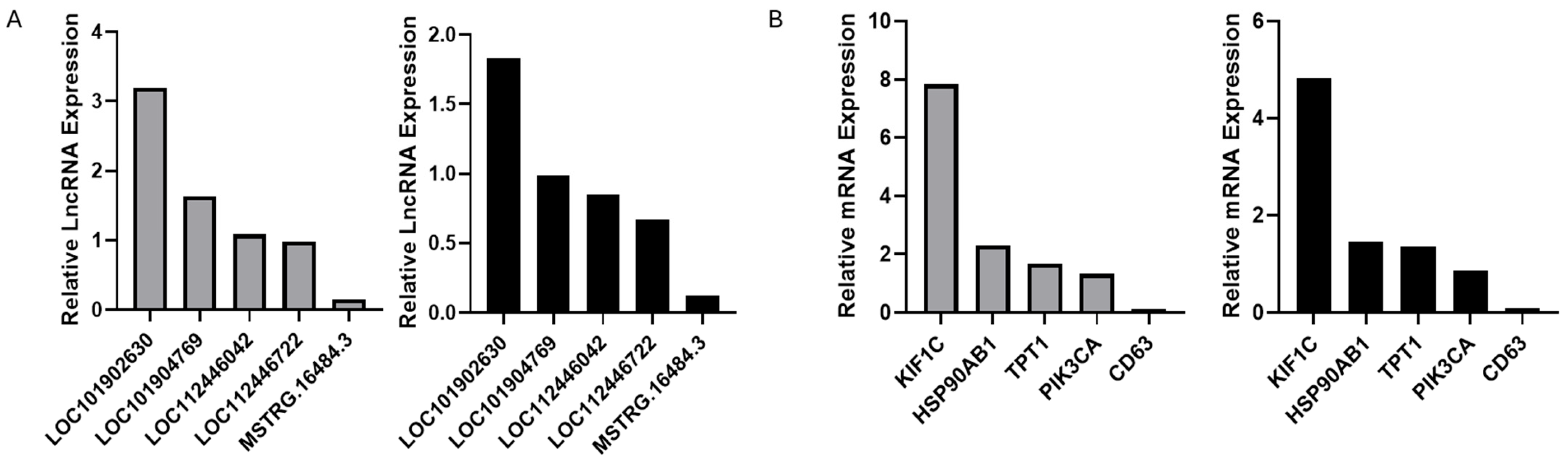 Animals 15 03459 g006