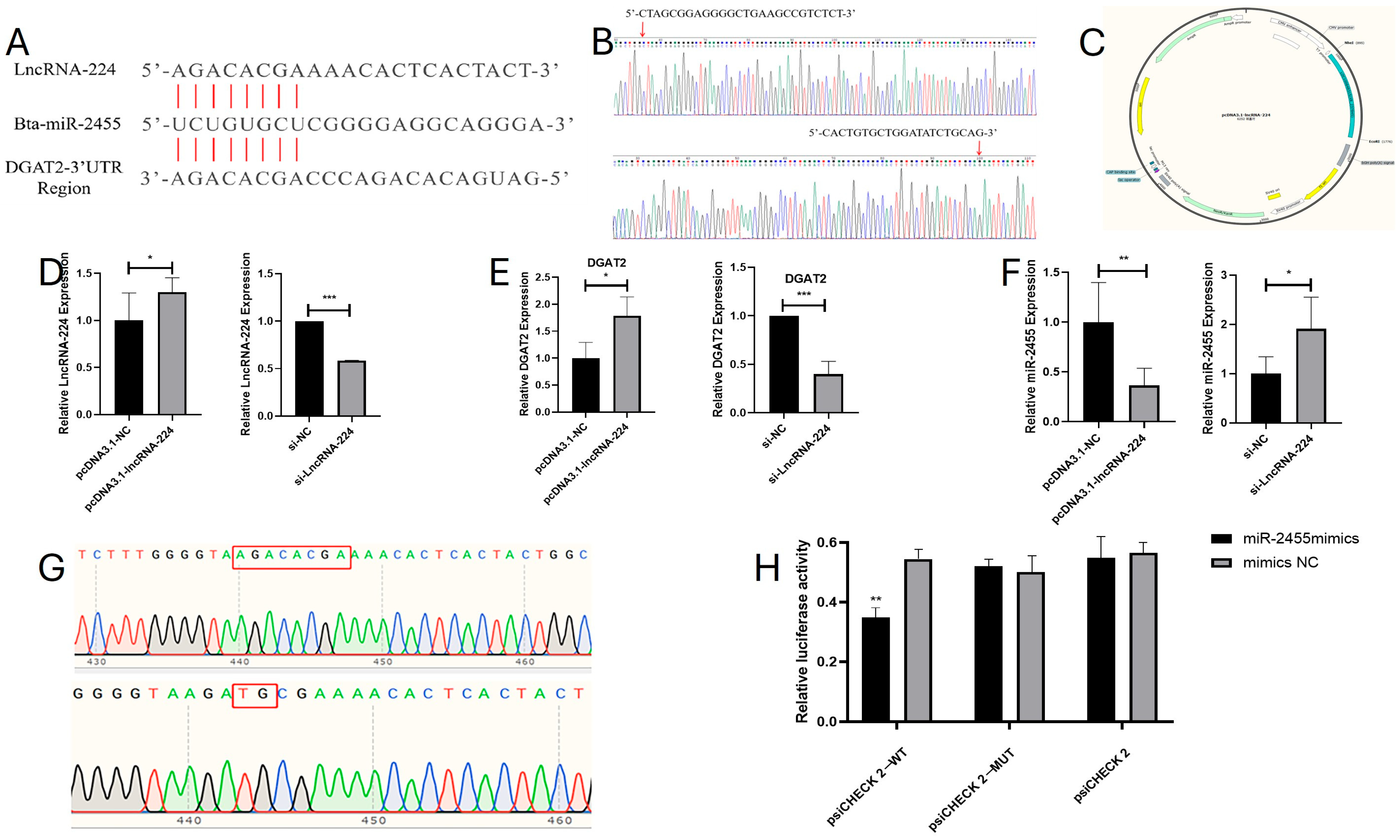 Animals 15 03459 g007