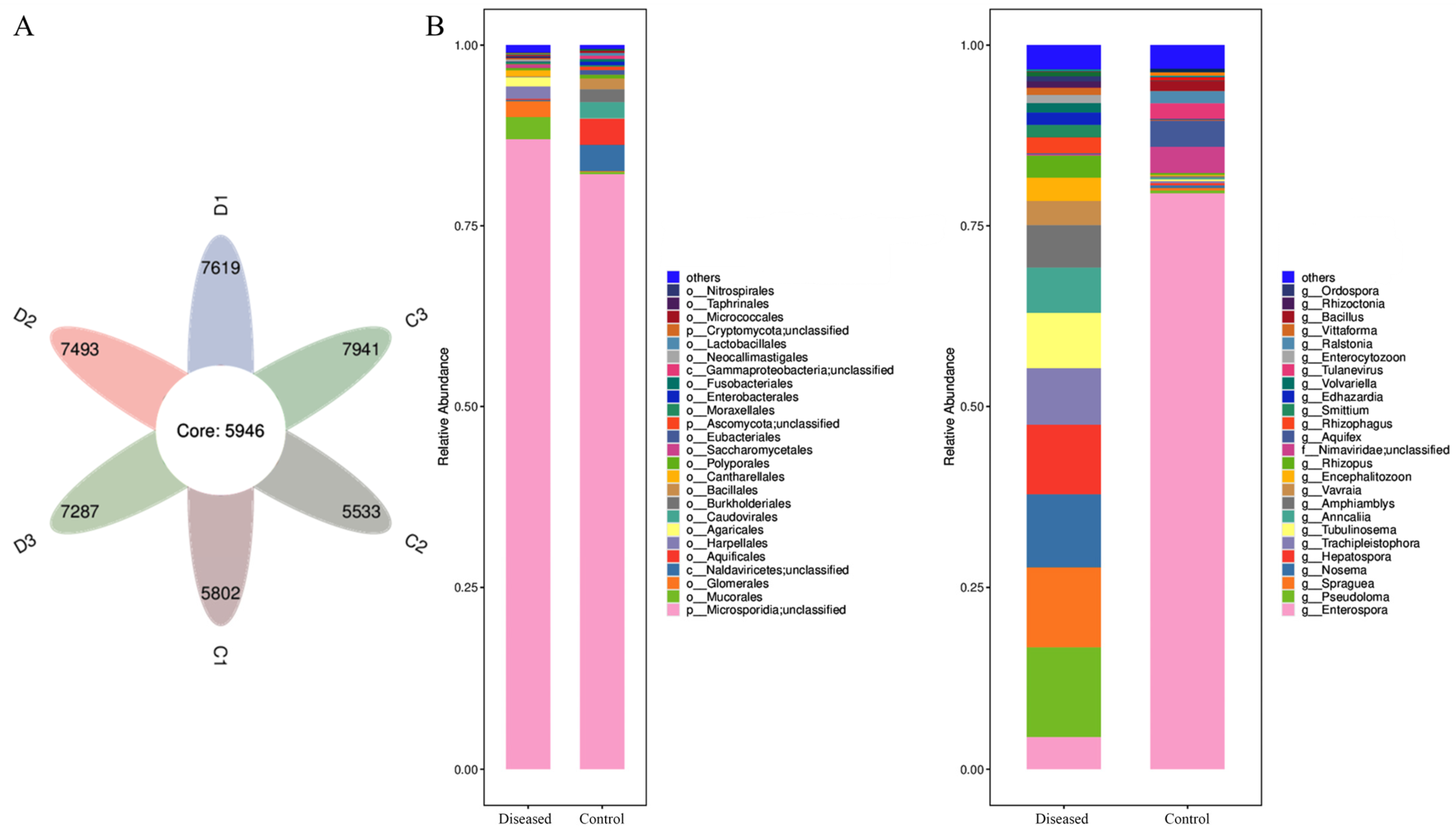 Animals 15 03463 g004