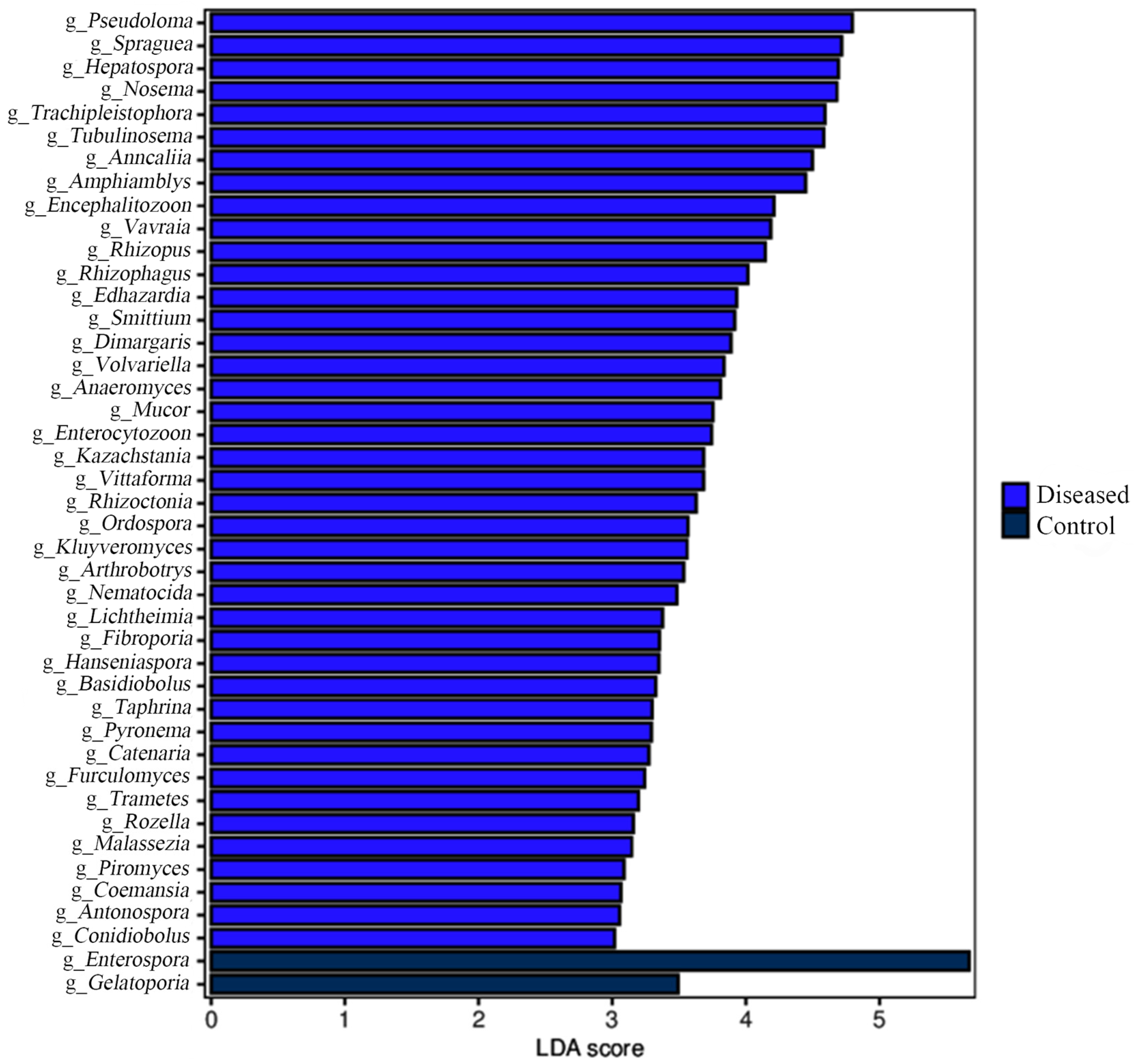 Animals 15 03463 g005