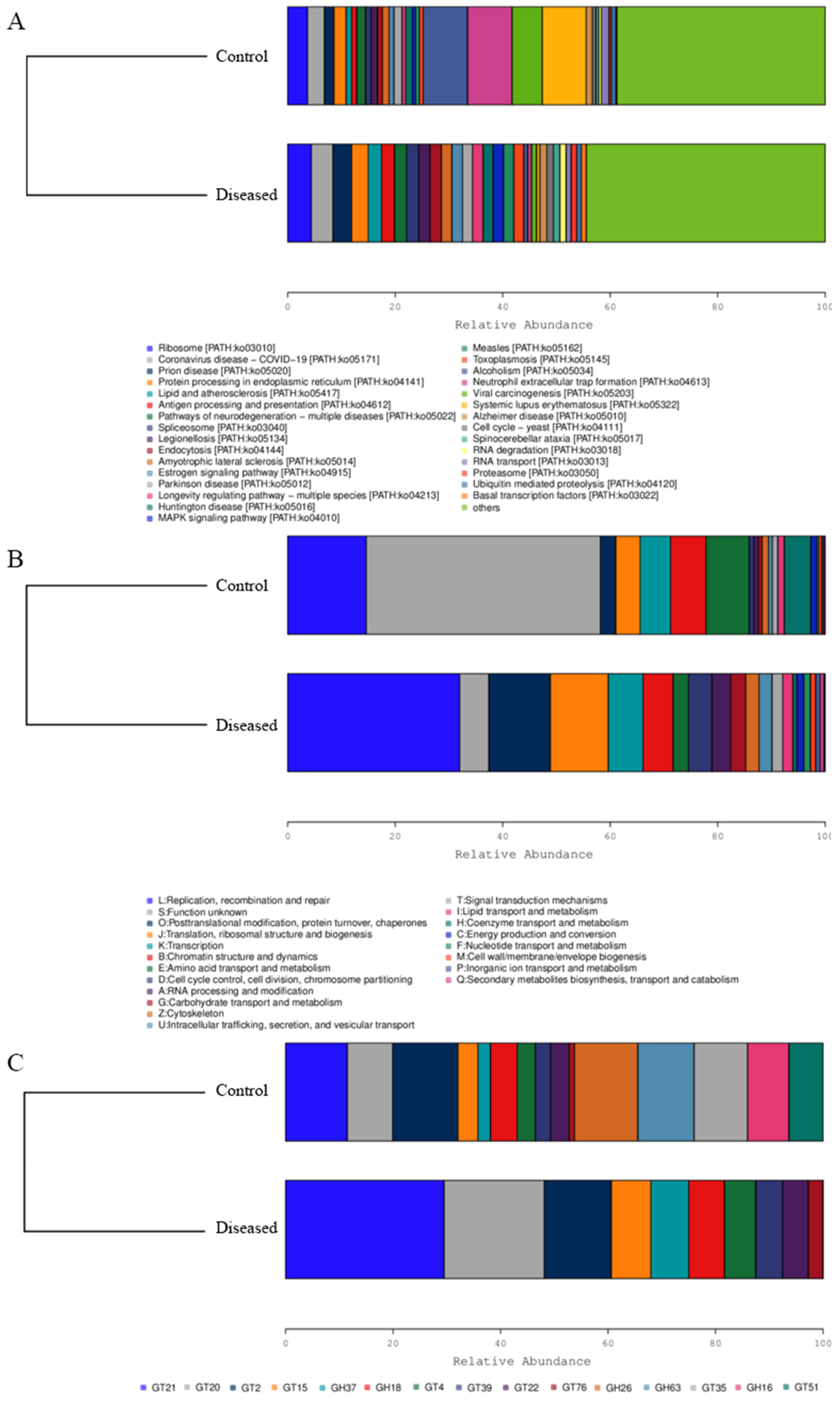 Animals 15 03463 g006