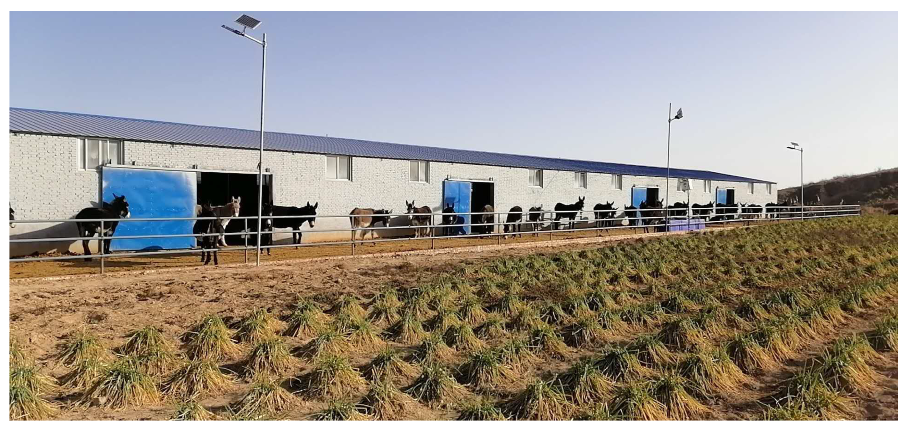 Animals 15 03464 g003