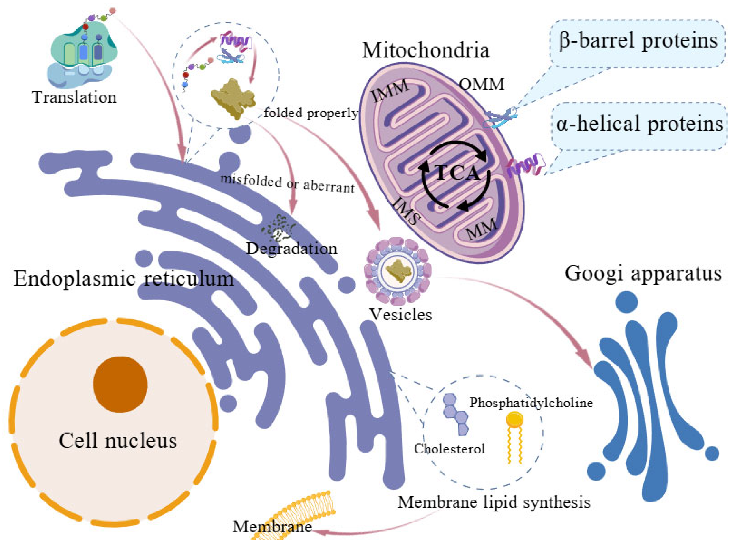 Animals 15 03465 g001
