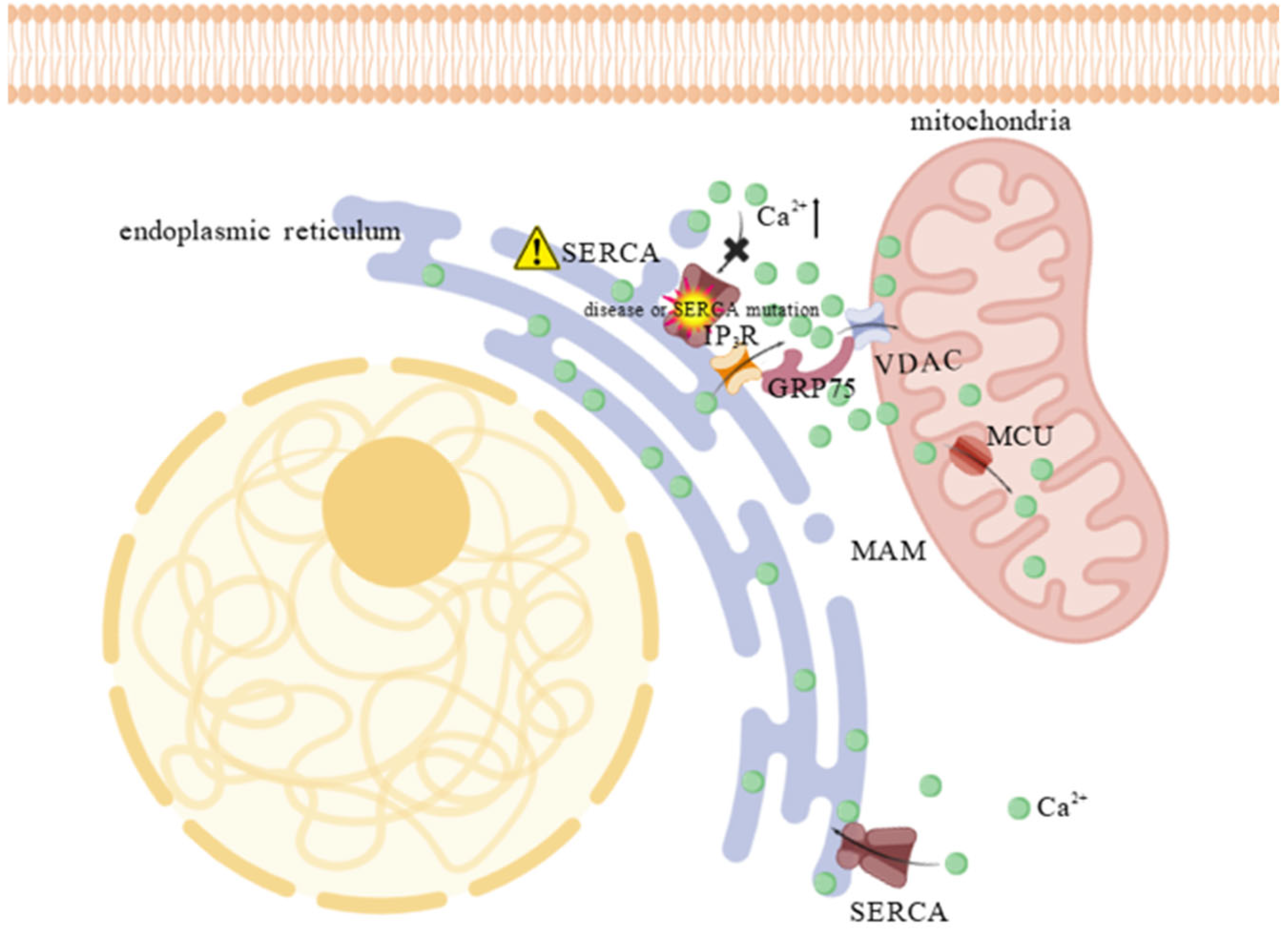 Animals 15 03465 g003
