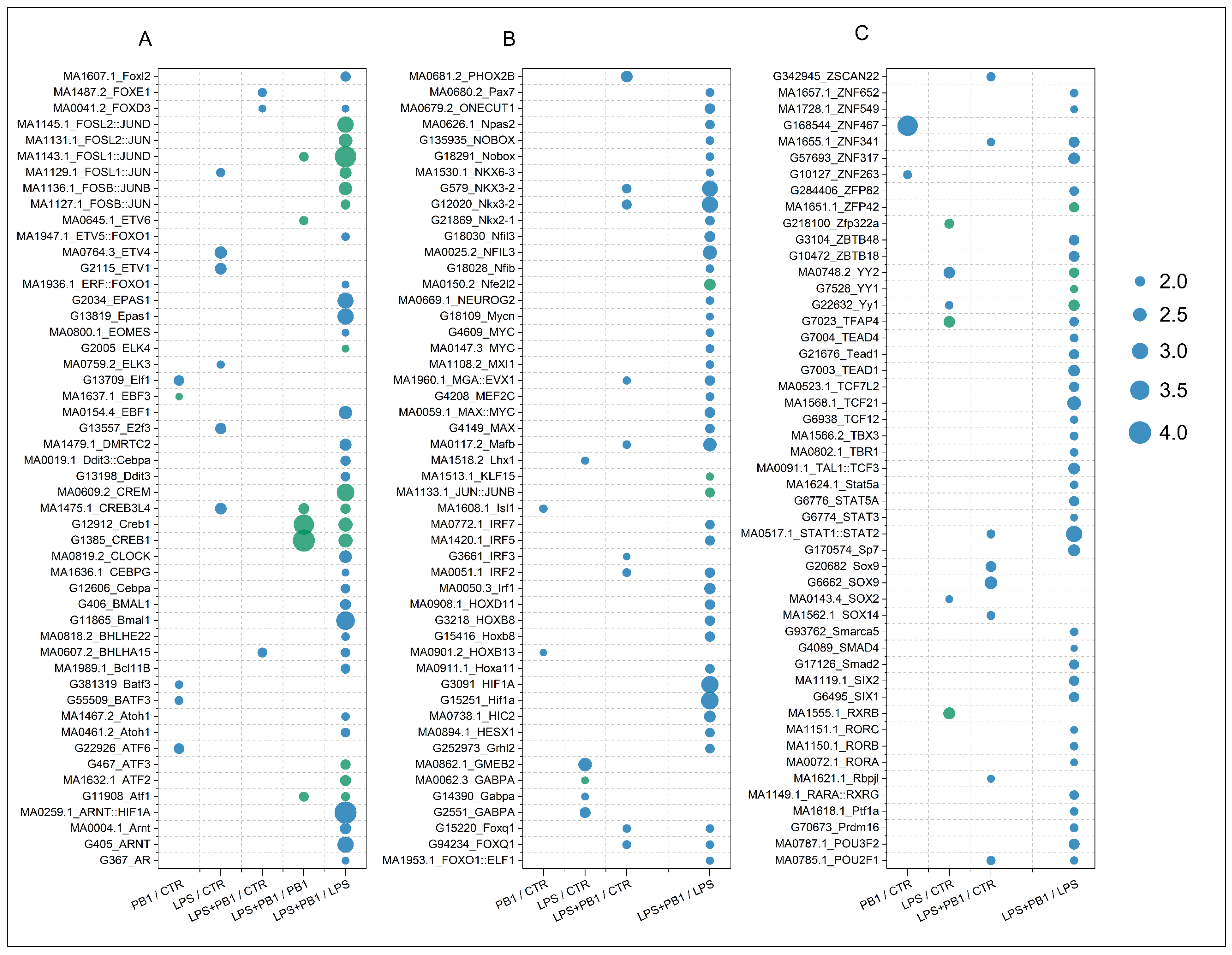 Animals 15 03469 g003 Animals 15 03469 g003