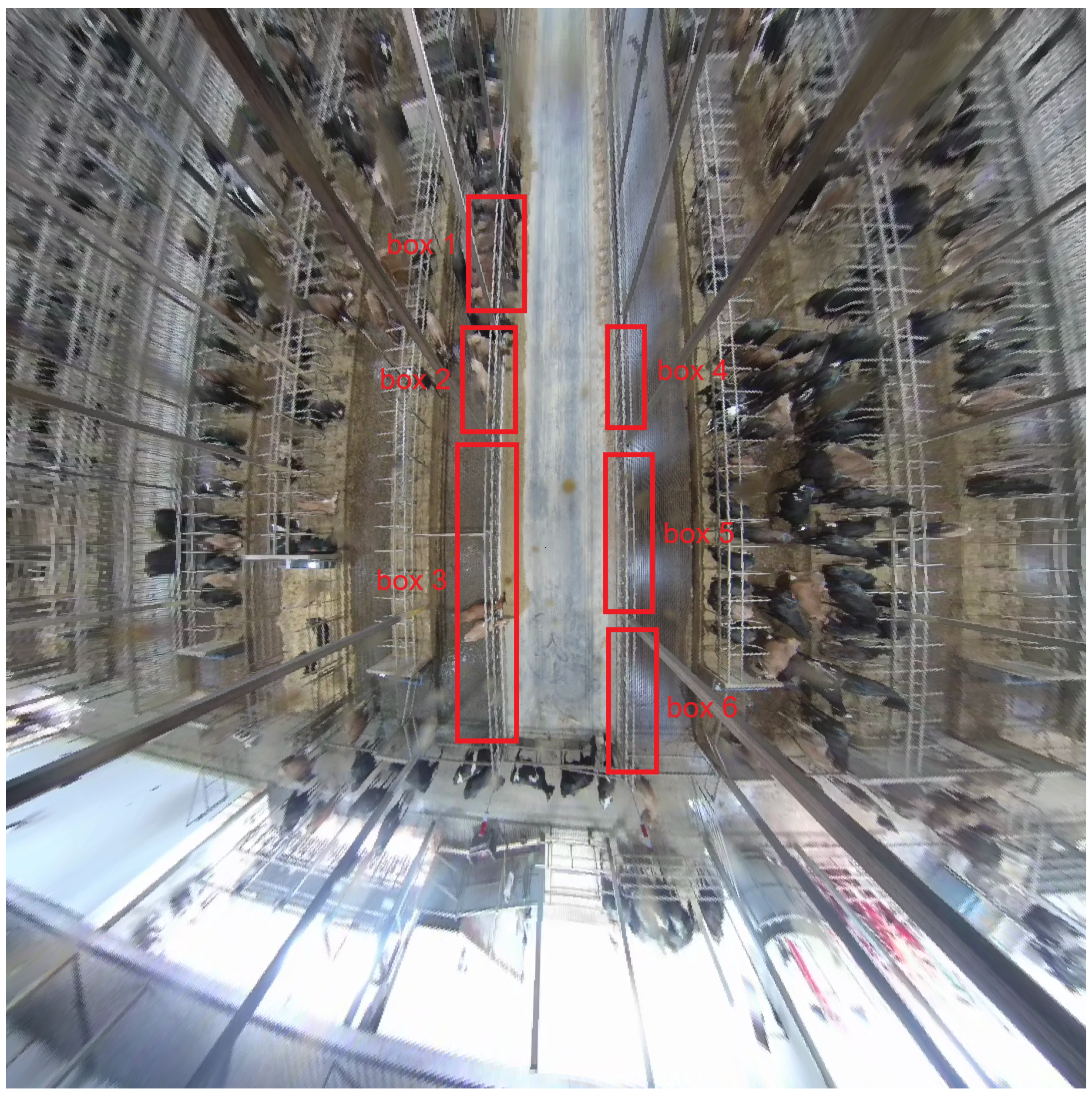 Animals 15 03470 g004