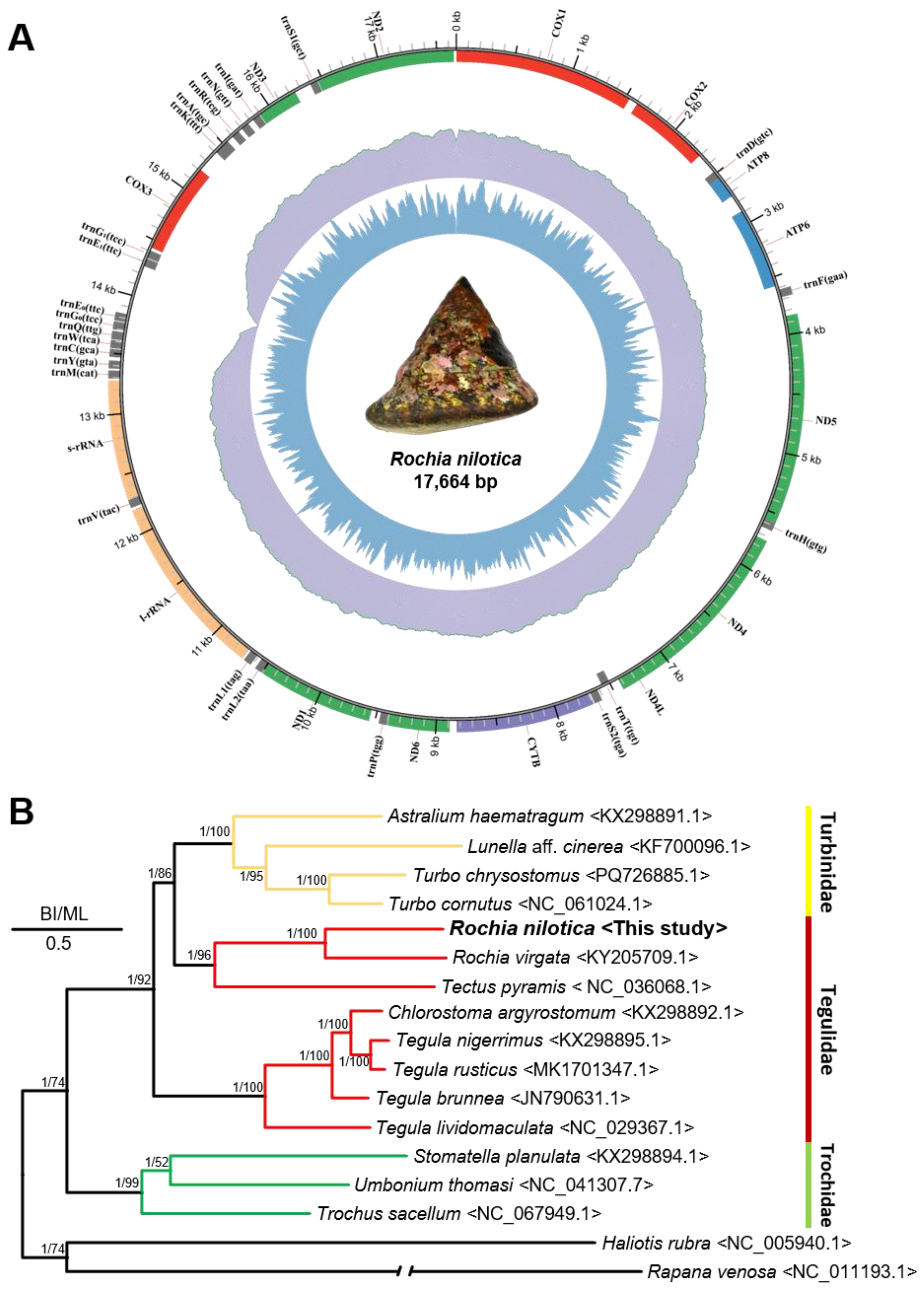 Animals 15 03471 g004