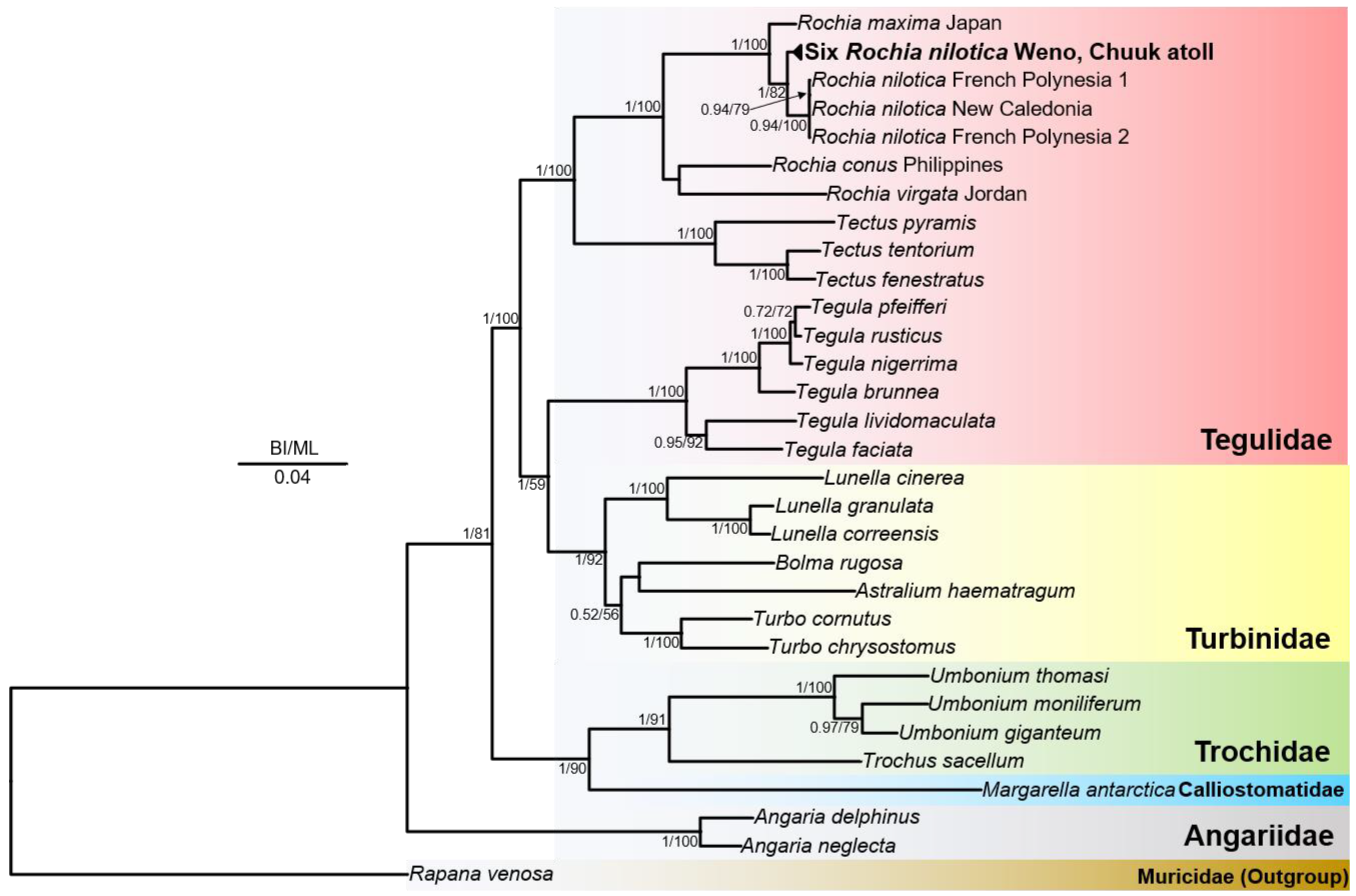 Animals 15 03471 g005