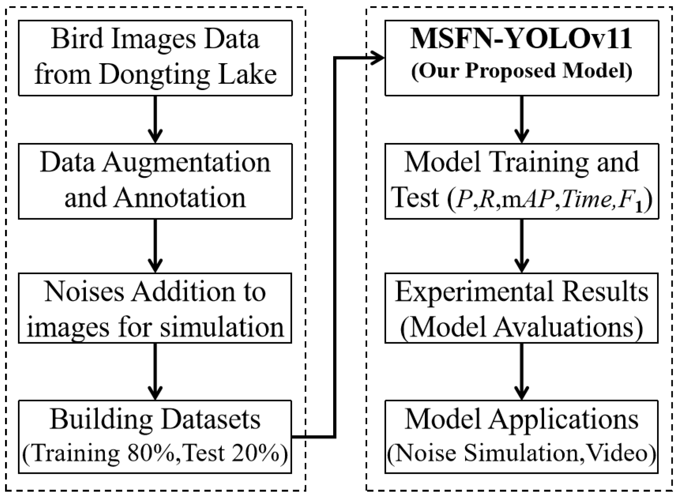 Animals 15 03472 g001