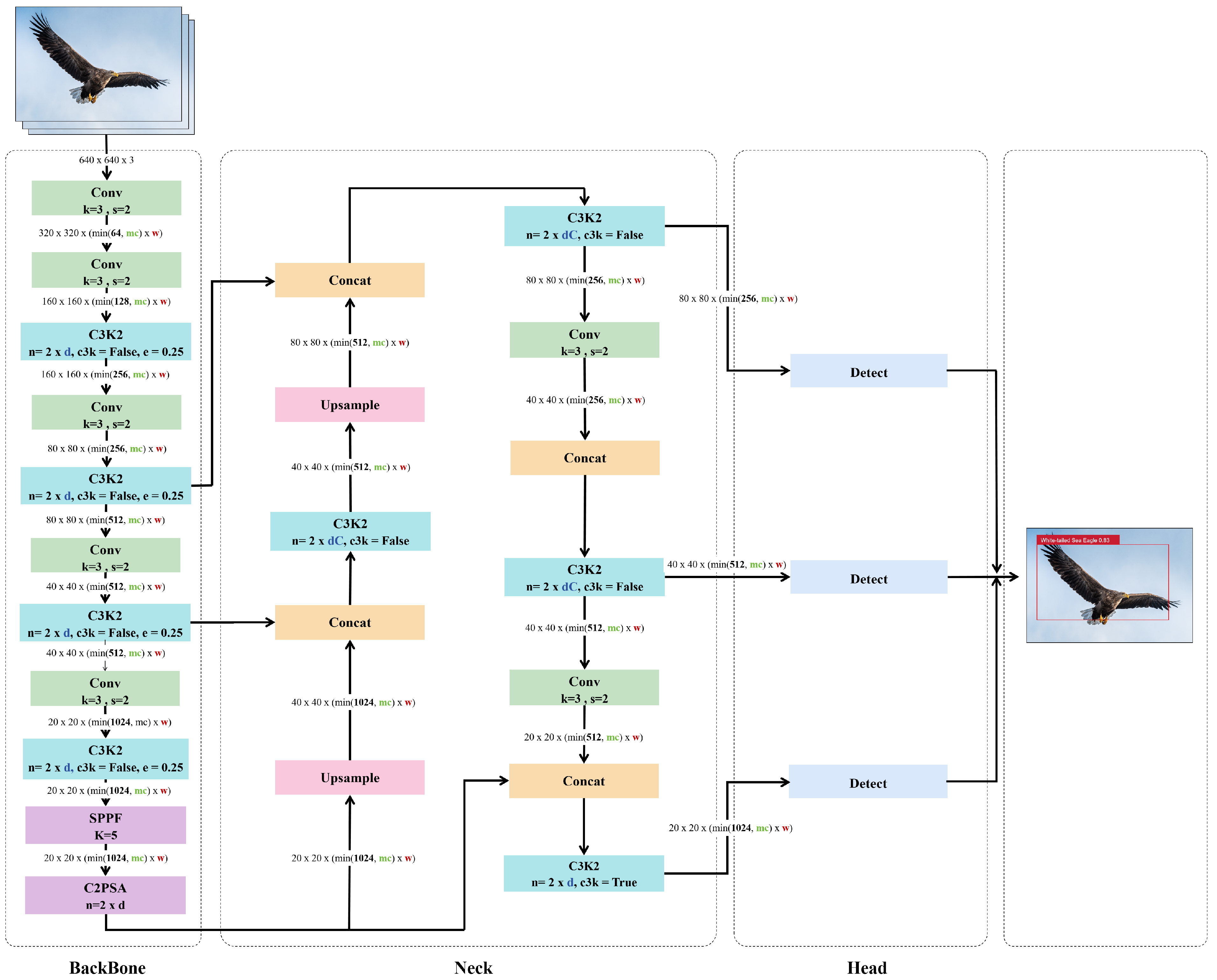 Animals 15 03472 g005