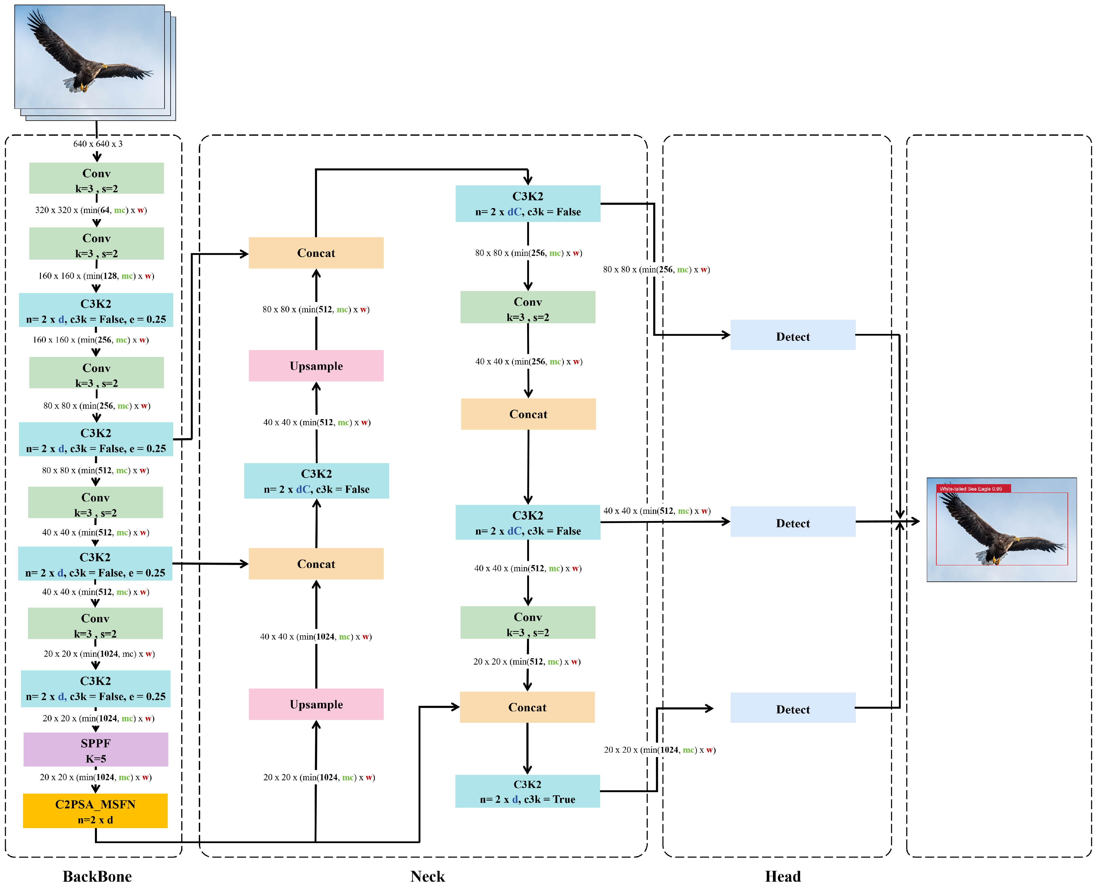 Animals 15 03472 g006