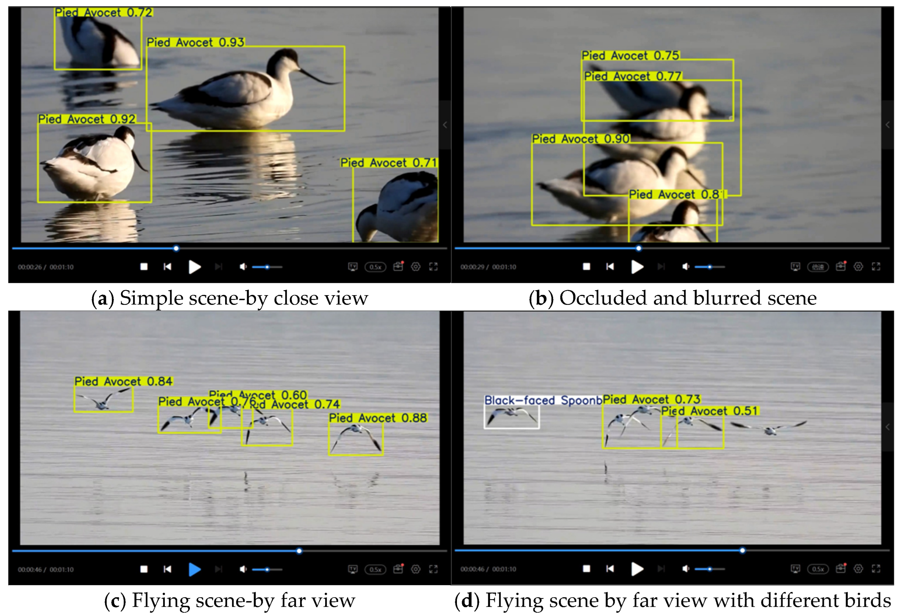 Animals 15 03472 g014