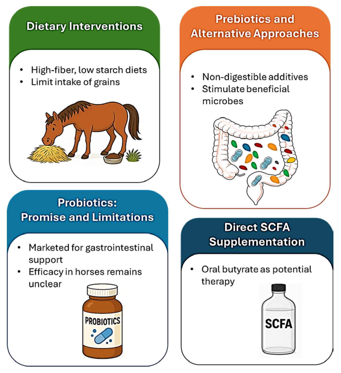 Animals 15 03482 g002