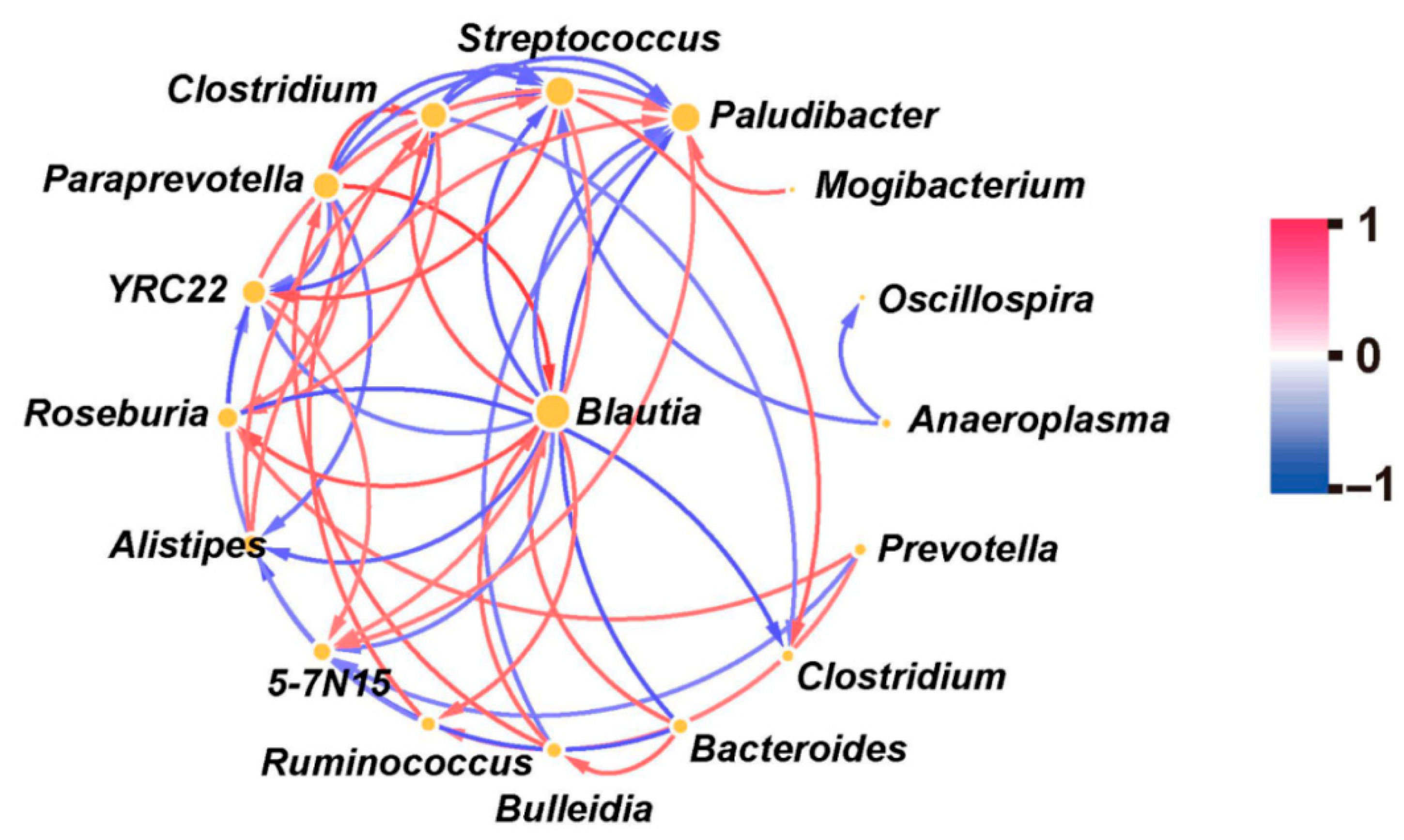 Animals 15 03484 g003
