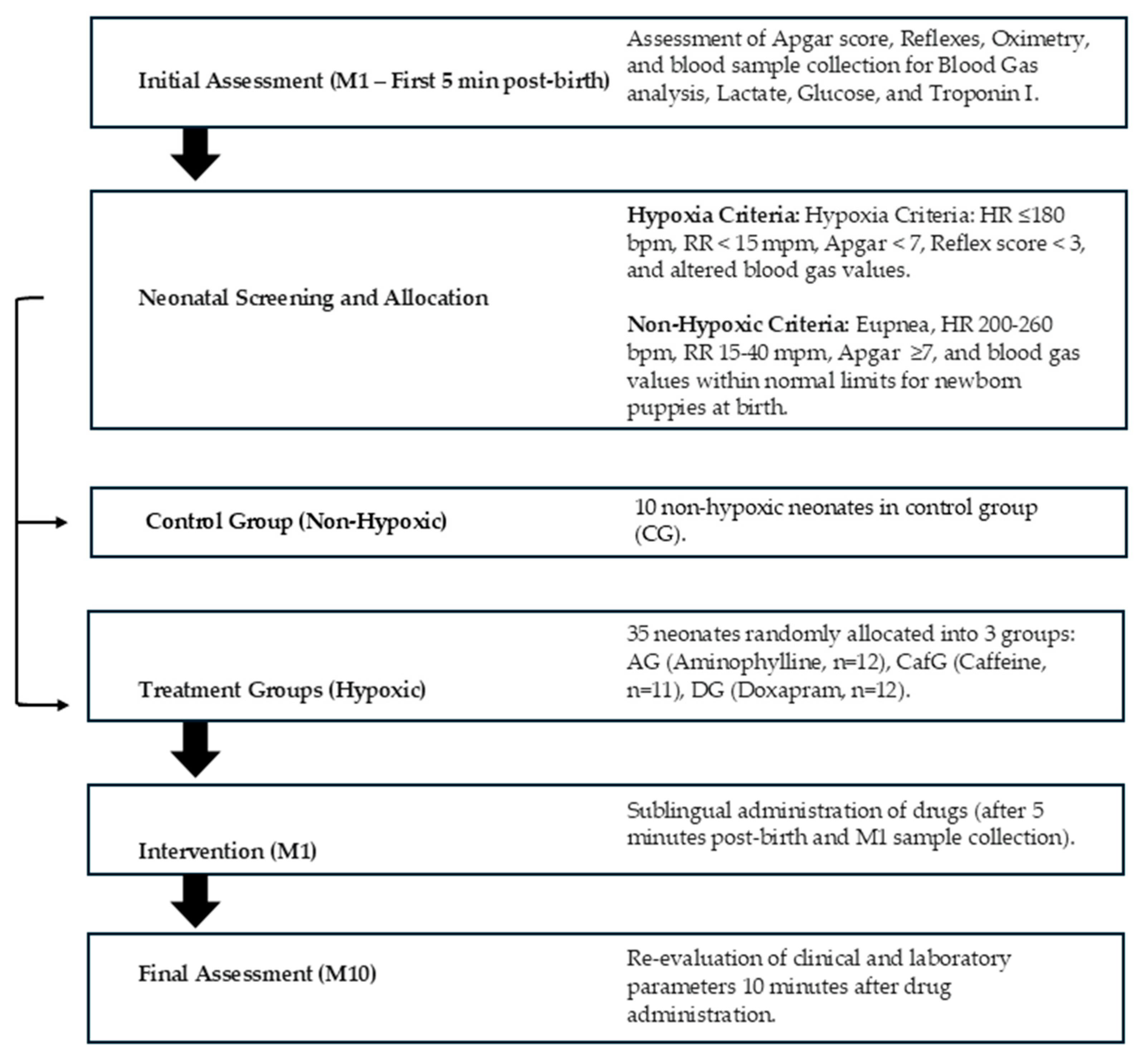Animals 15 03485 g002