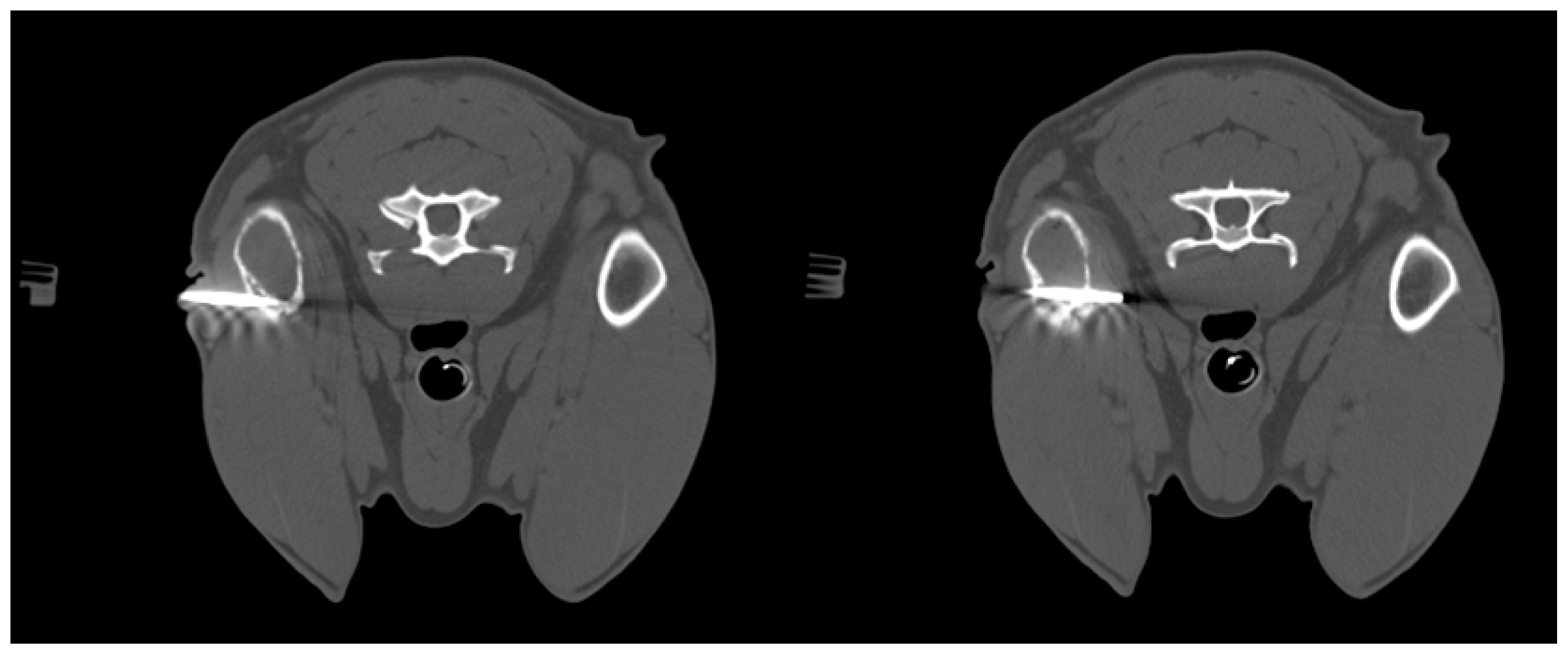 Animals 15 03489 g002