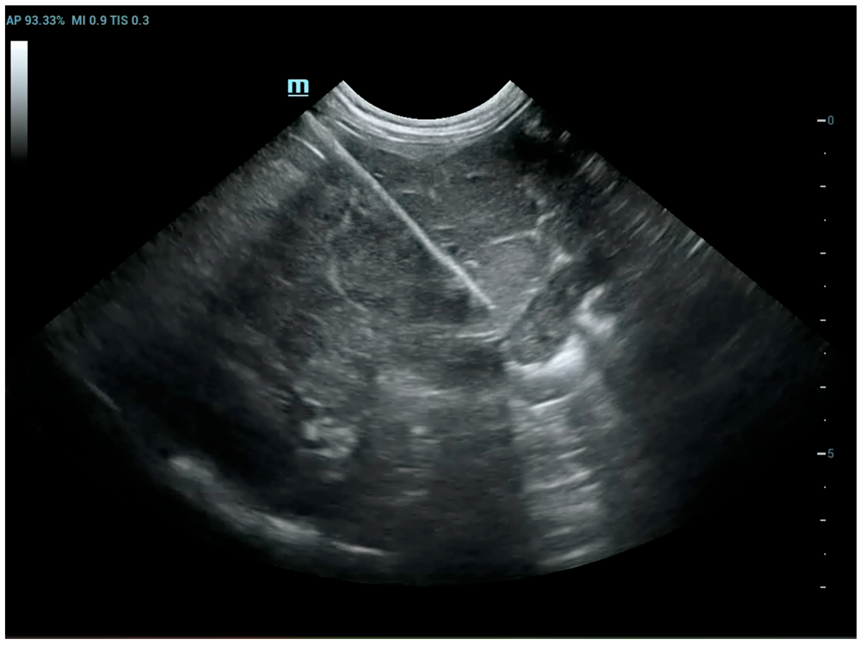 Animals 15 03489 g003