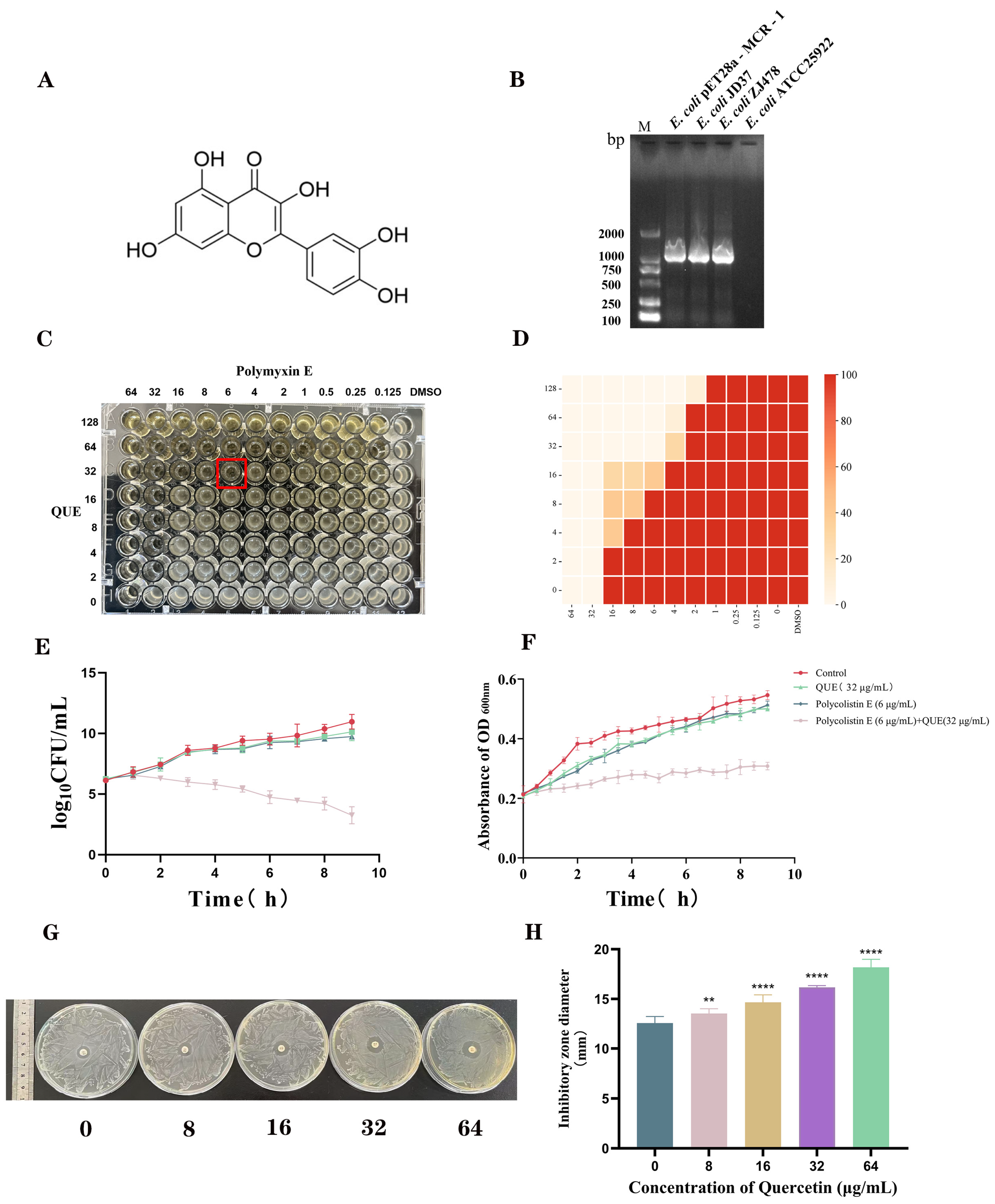 Animals 15 03491 g002 Animals 15 03491 g002