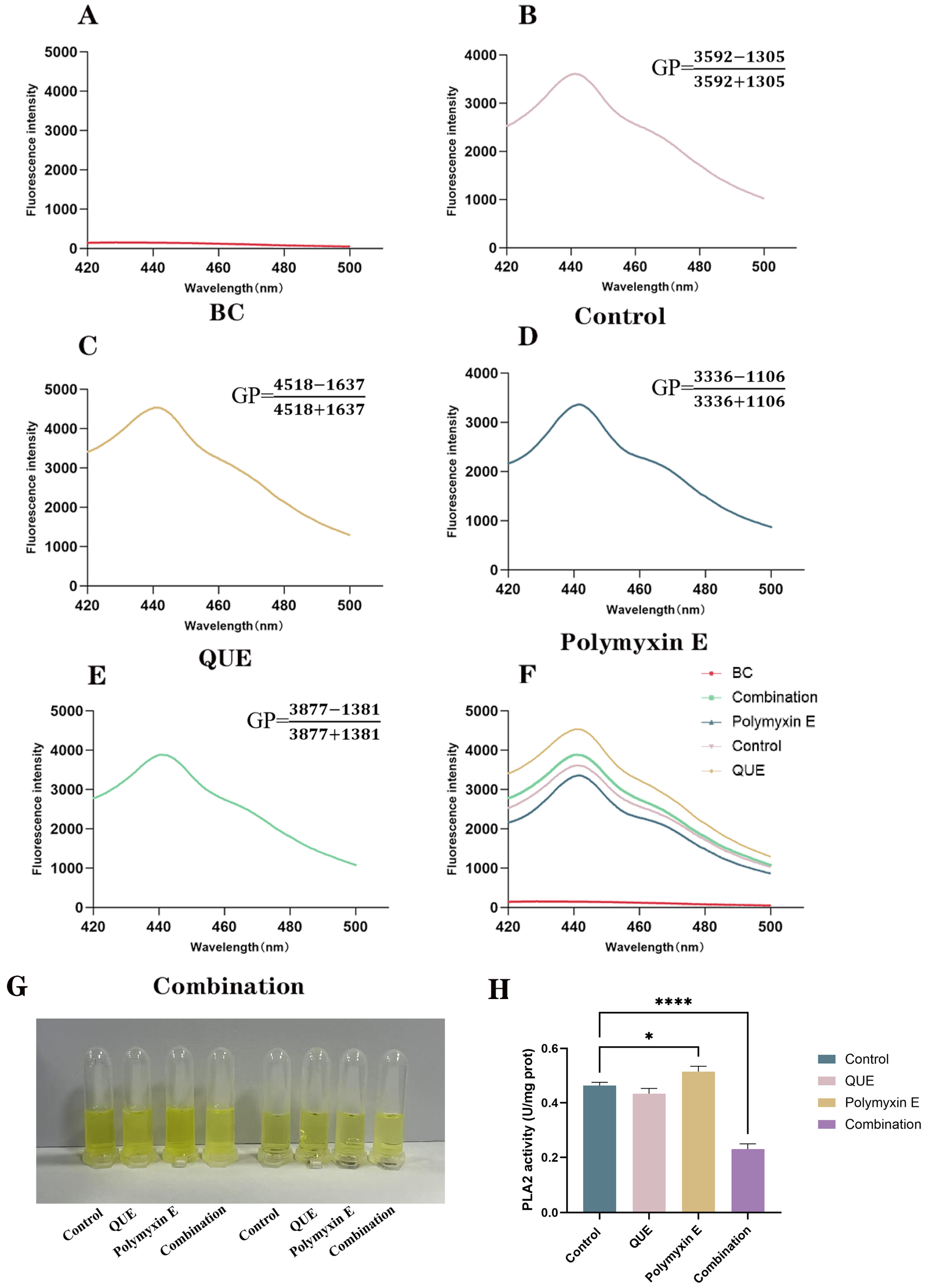 Animals 15 03491 g004 Animals 15 03491 g004