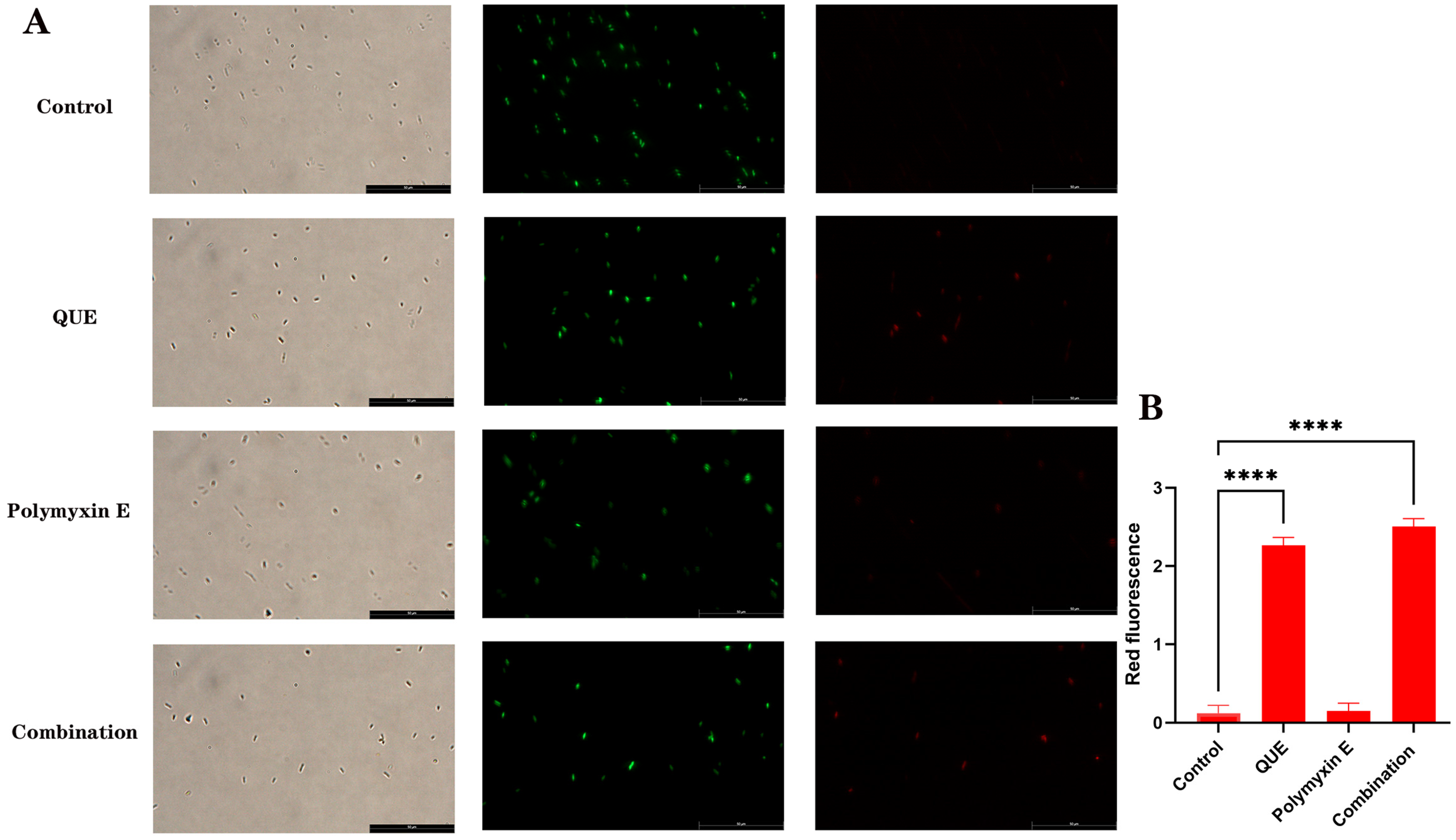 Animals 15 03491 g005 Animals 15 03491 g005