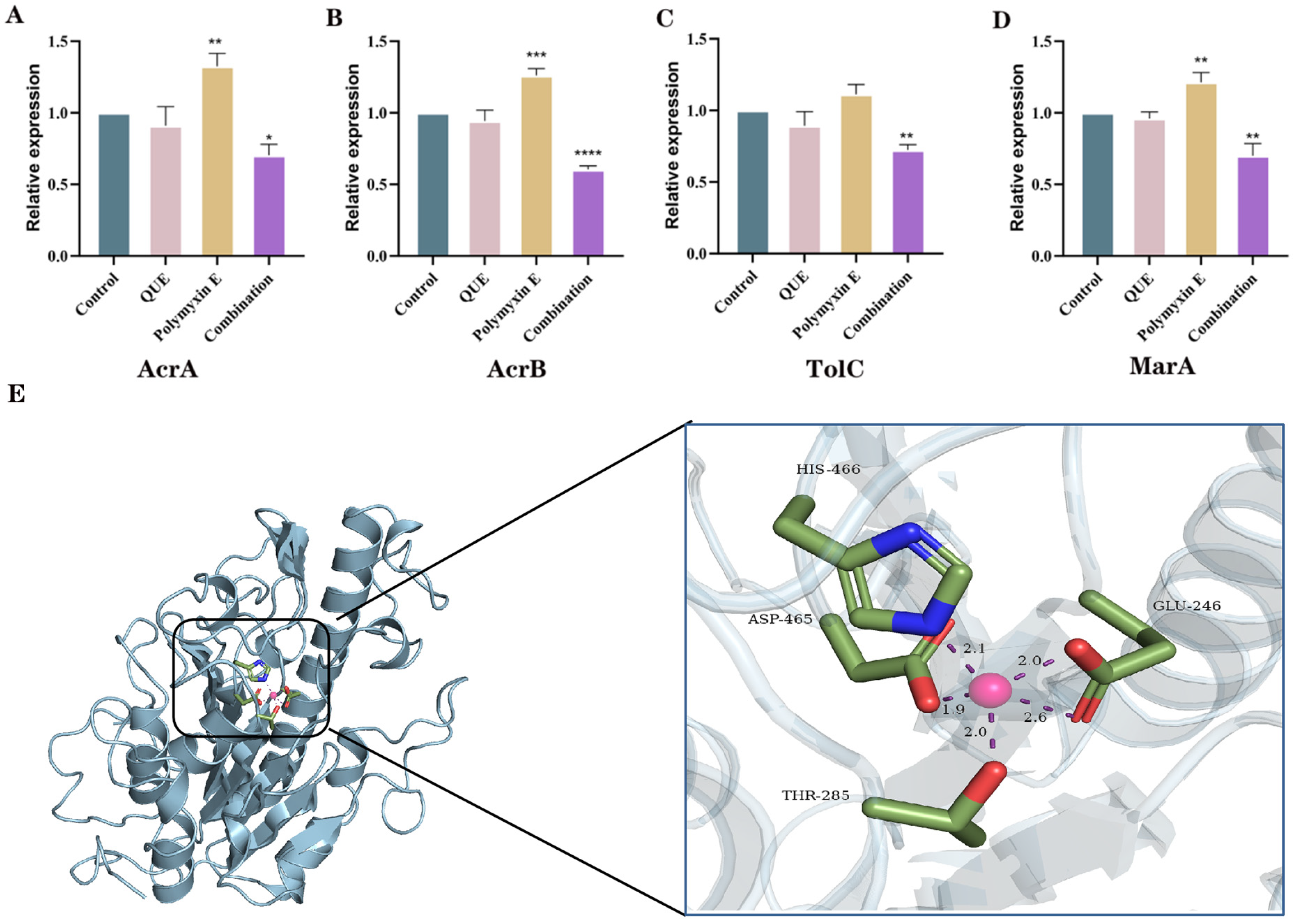 Animals 15 03491 g006 Animals 15 03491 g006