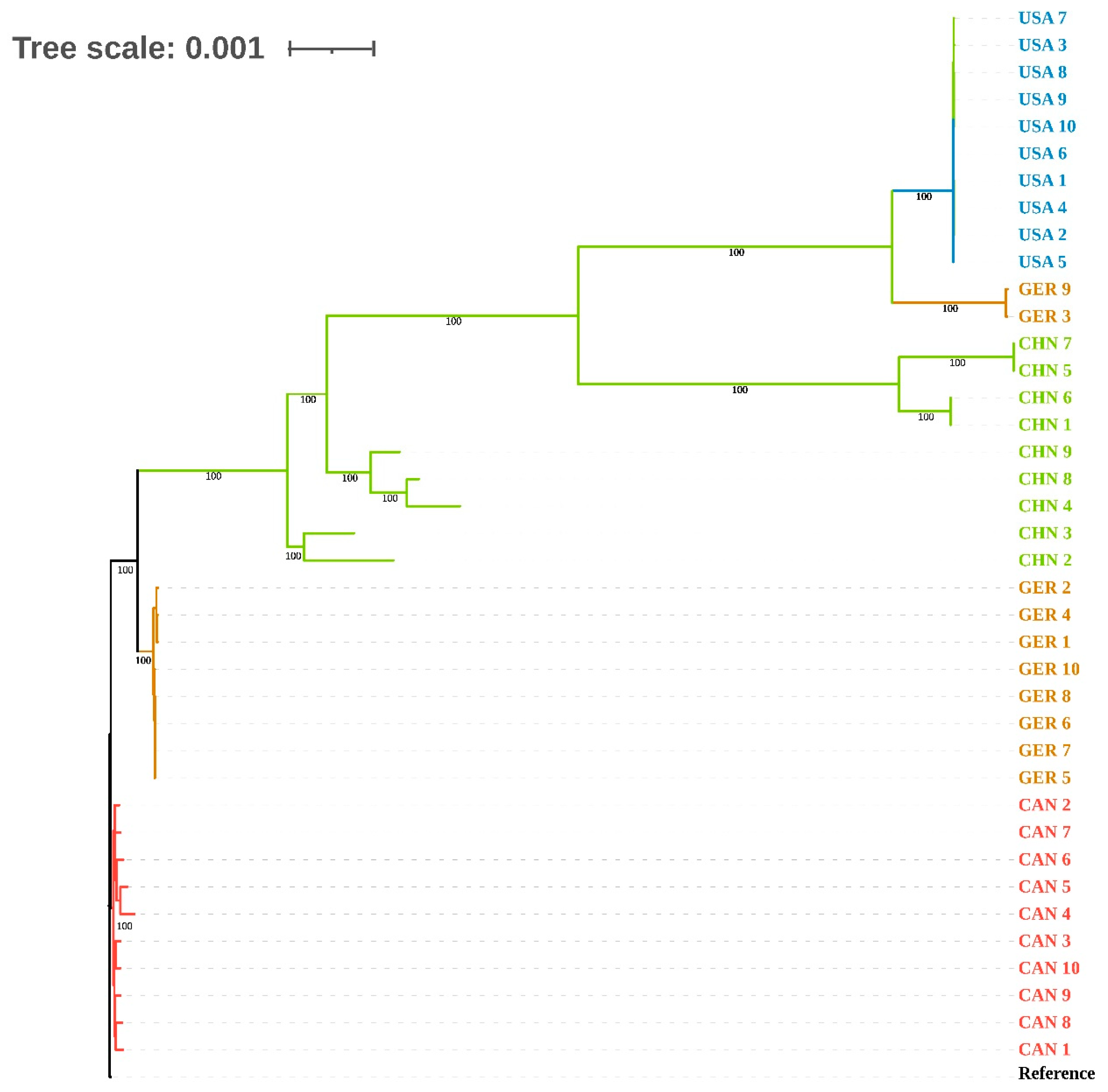 Animals 15 03492 g003