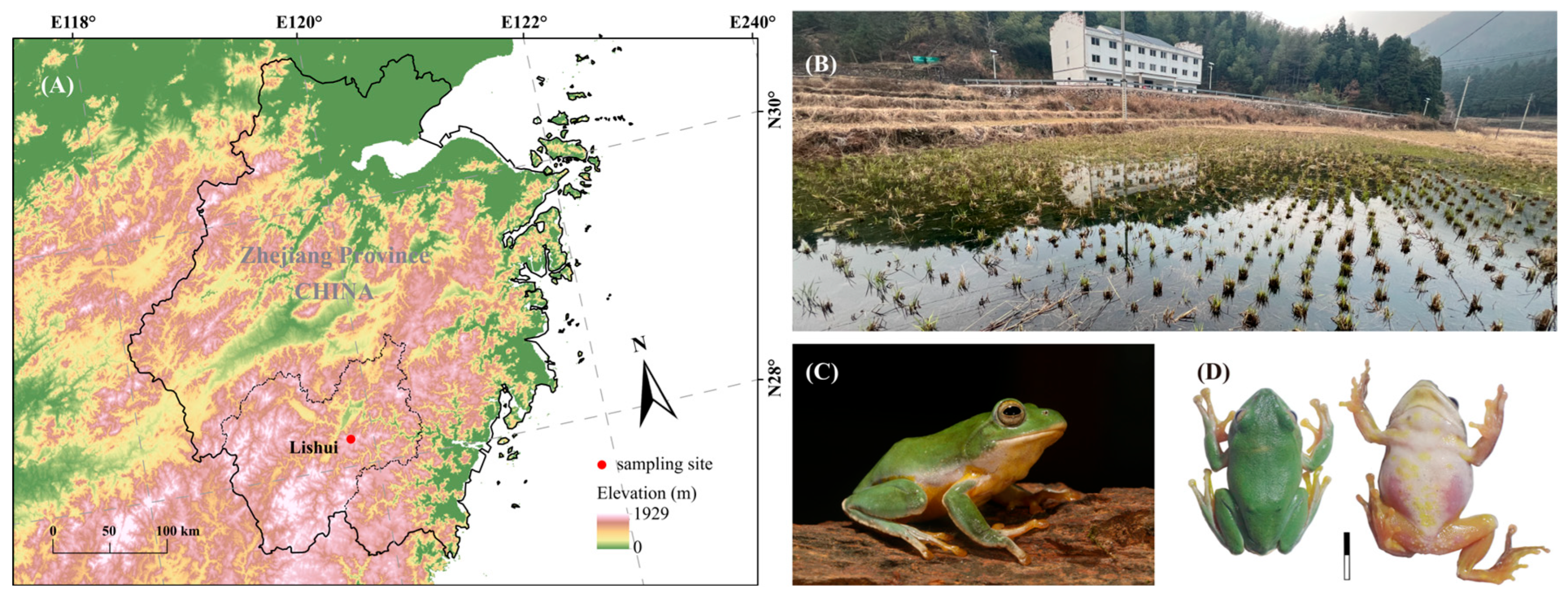 Animals 15 03493 g001