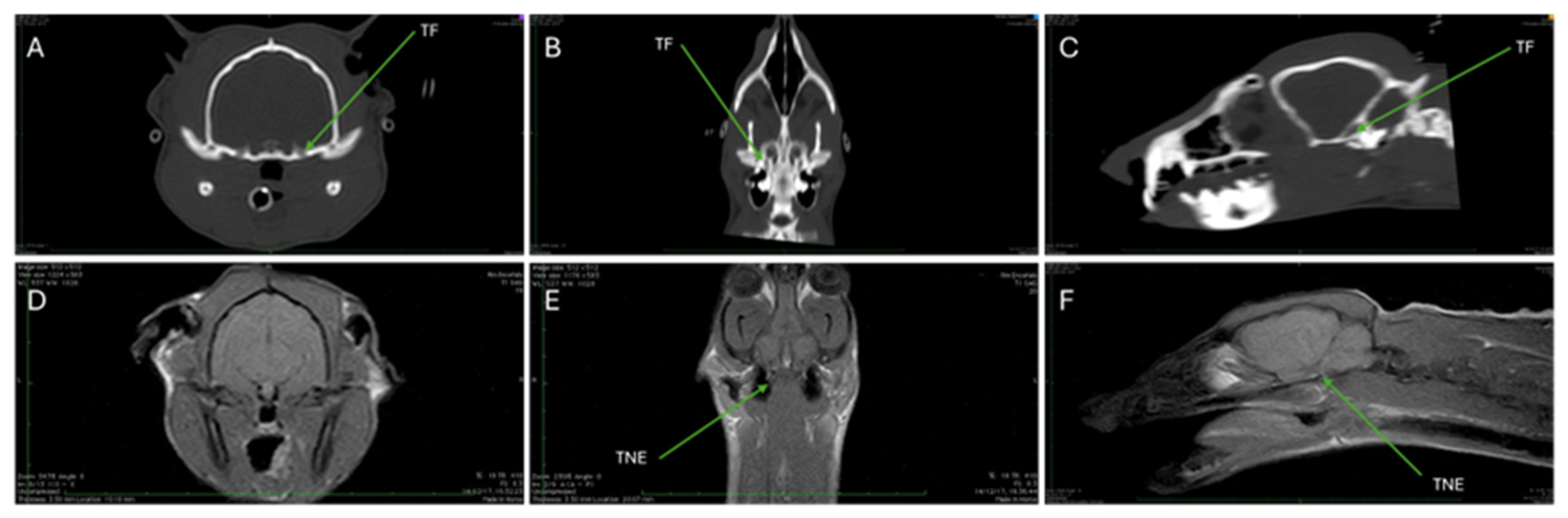 Animals 15 03496 g006