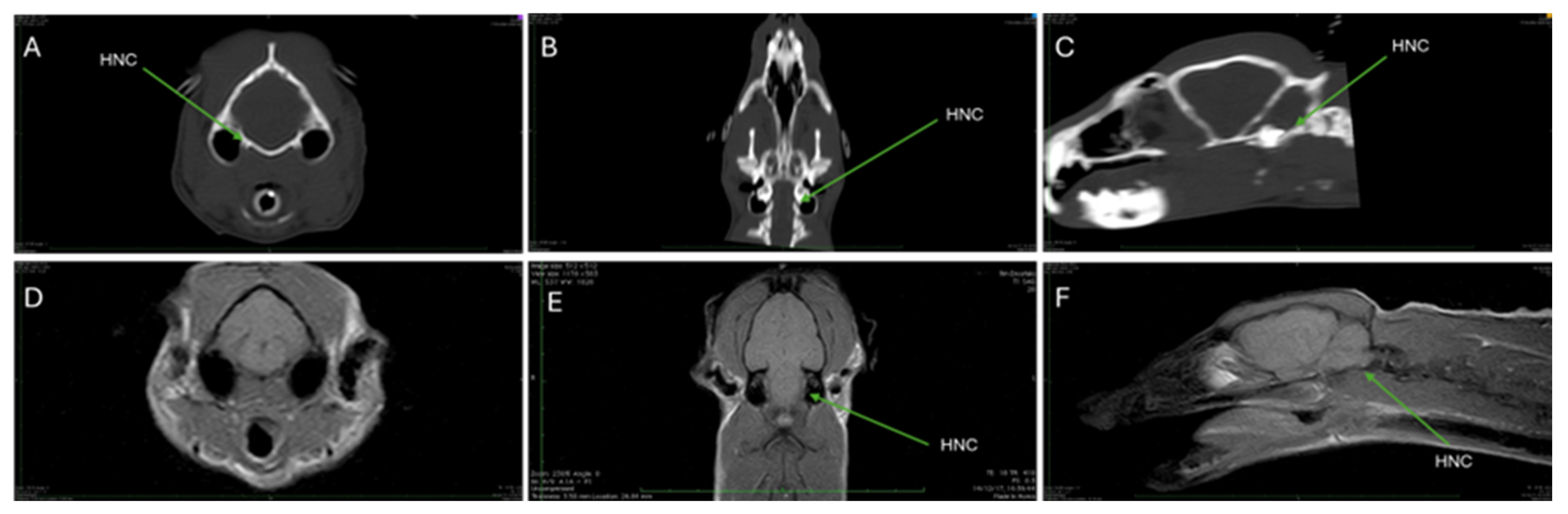 Animals 15 03496 g007