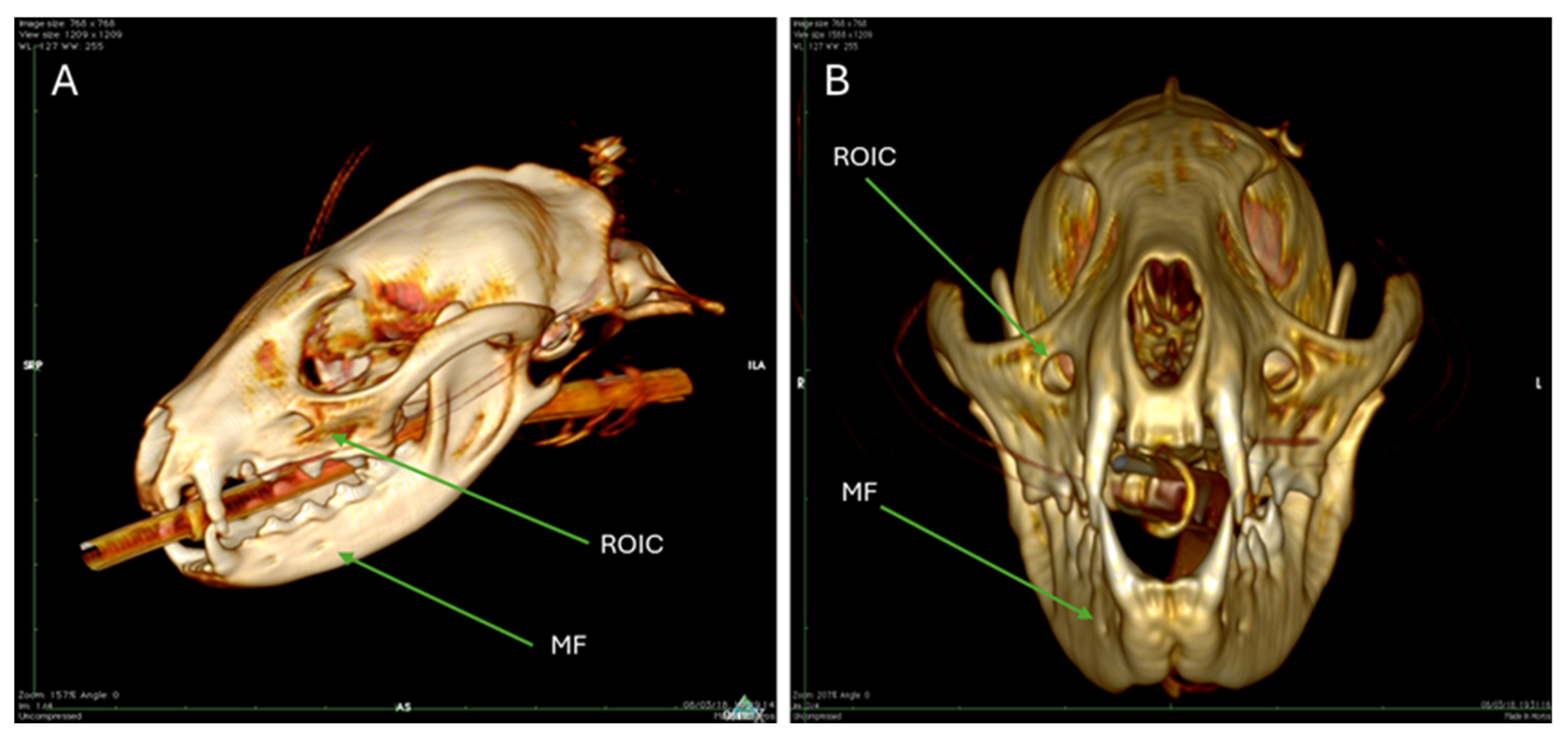 Animals 15 03496 g008