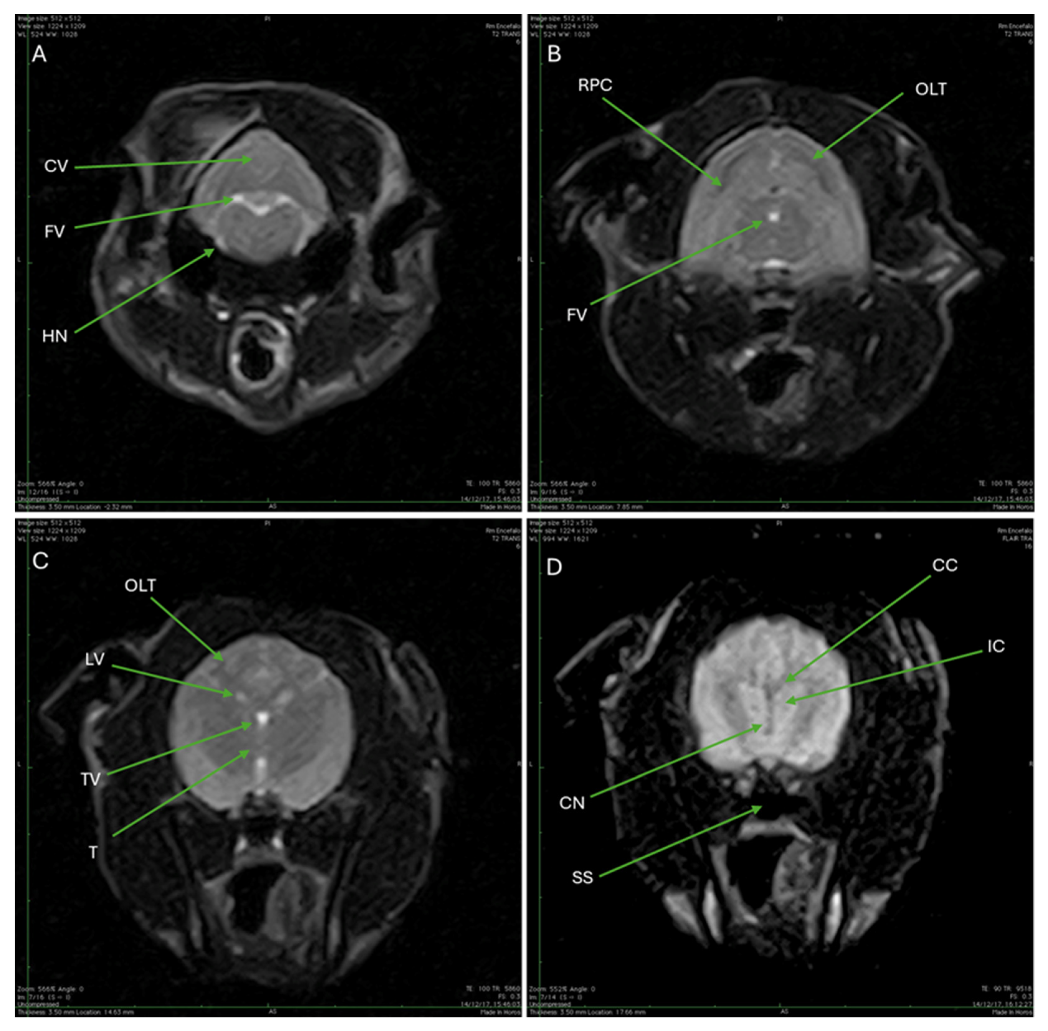 Animals 15 03496 g009