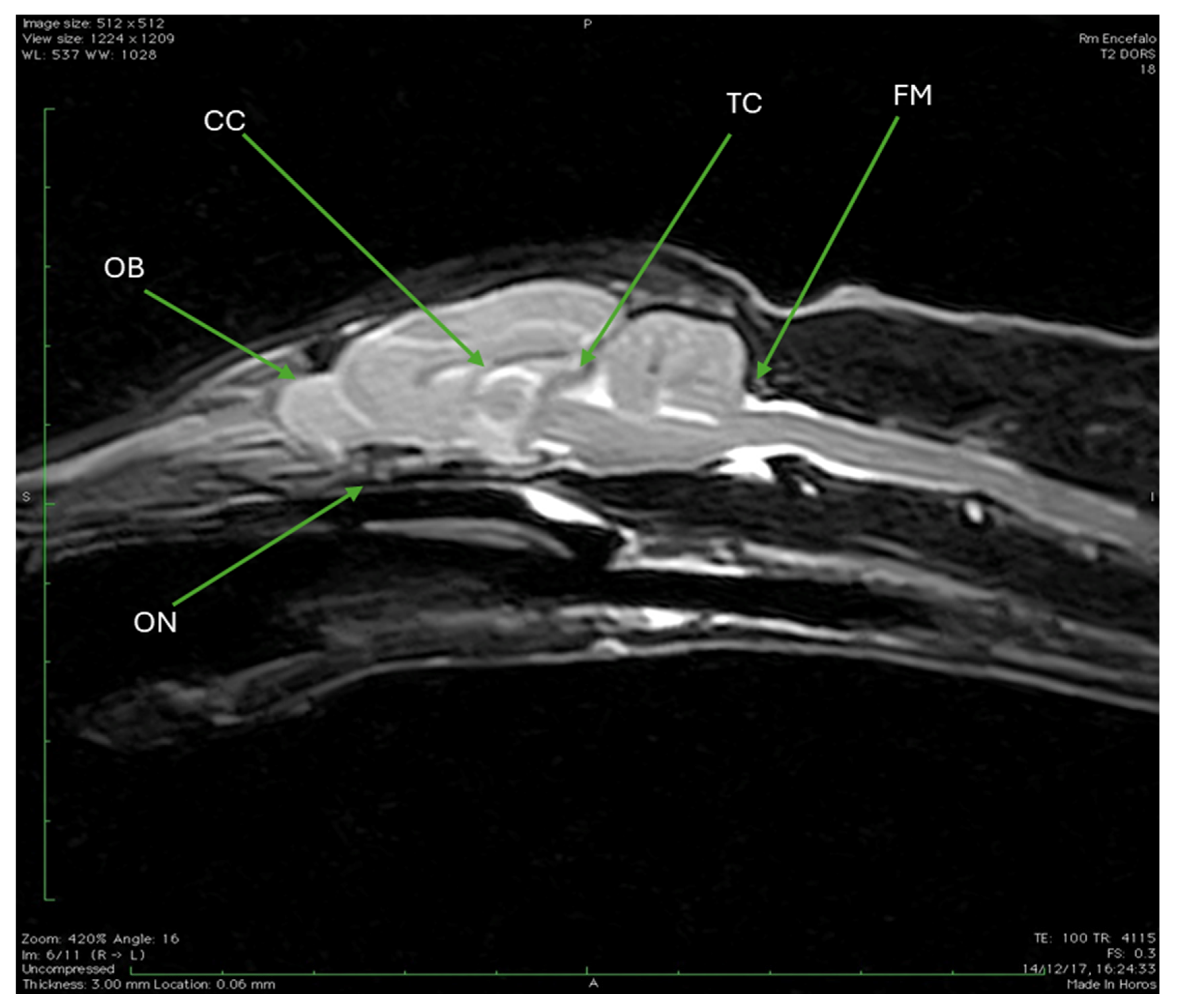 Animals 15 03496 g010