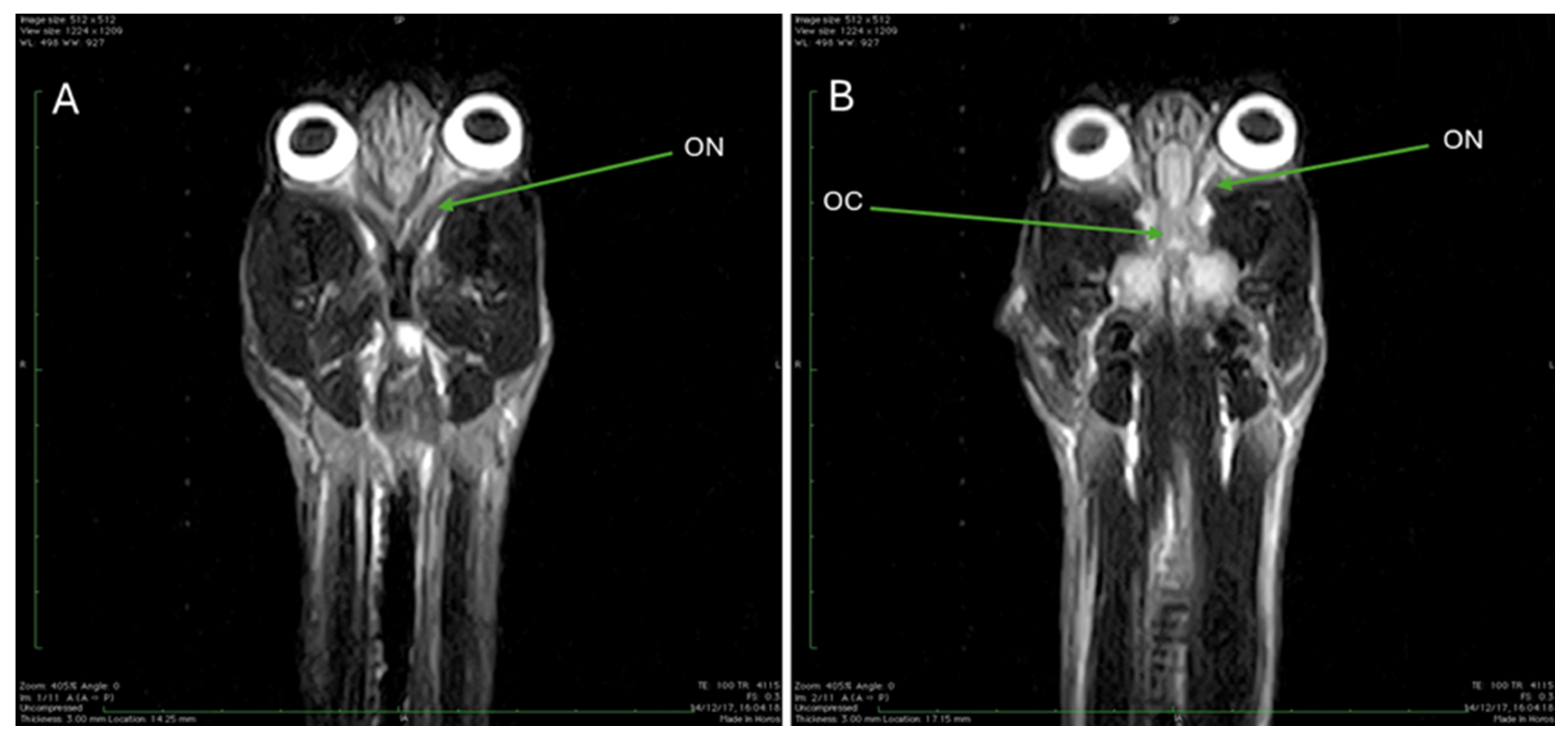 Animals 15 03496 g011