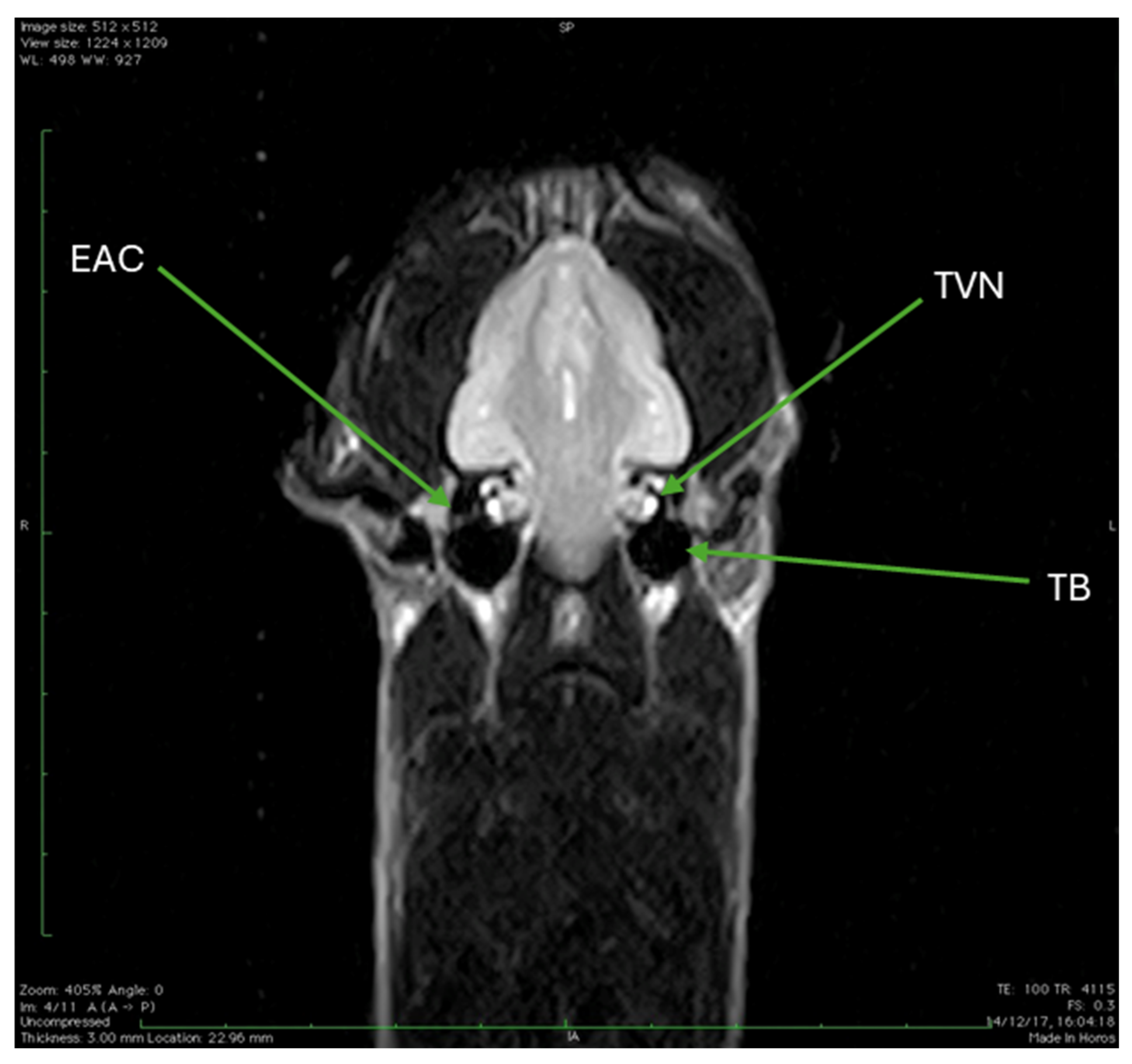 Animals 15 03496 g012