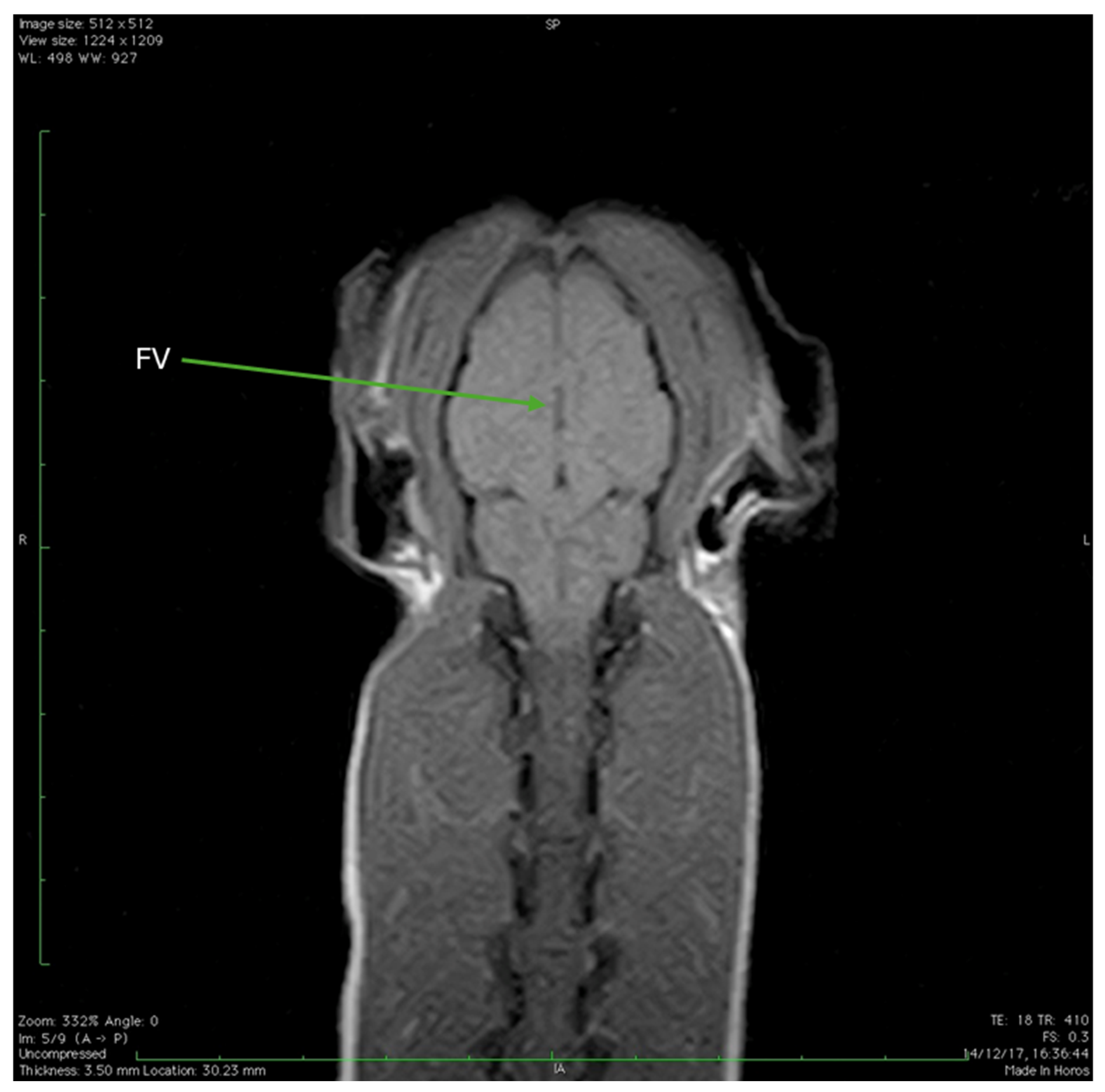 Animals 15 03496 g013