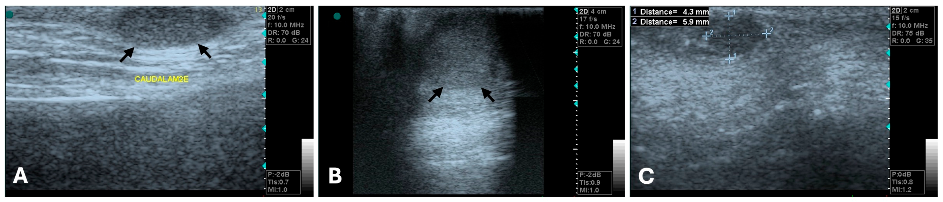 Animals 15 03506 g001